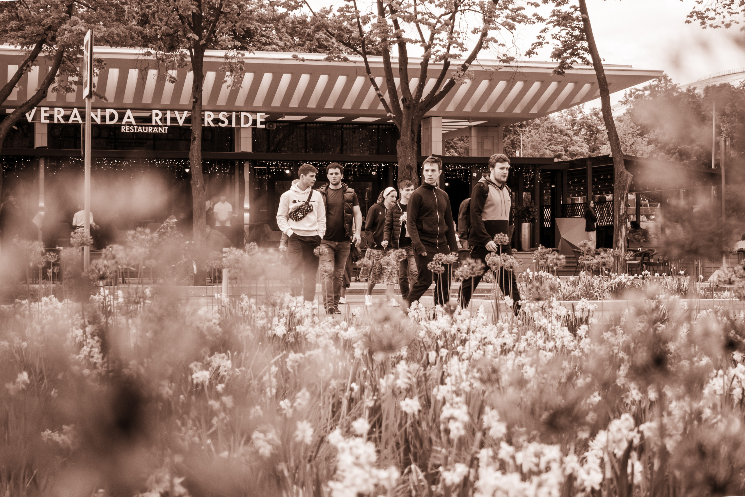 Ресторан Veranda в Лужниках в Москве