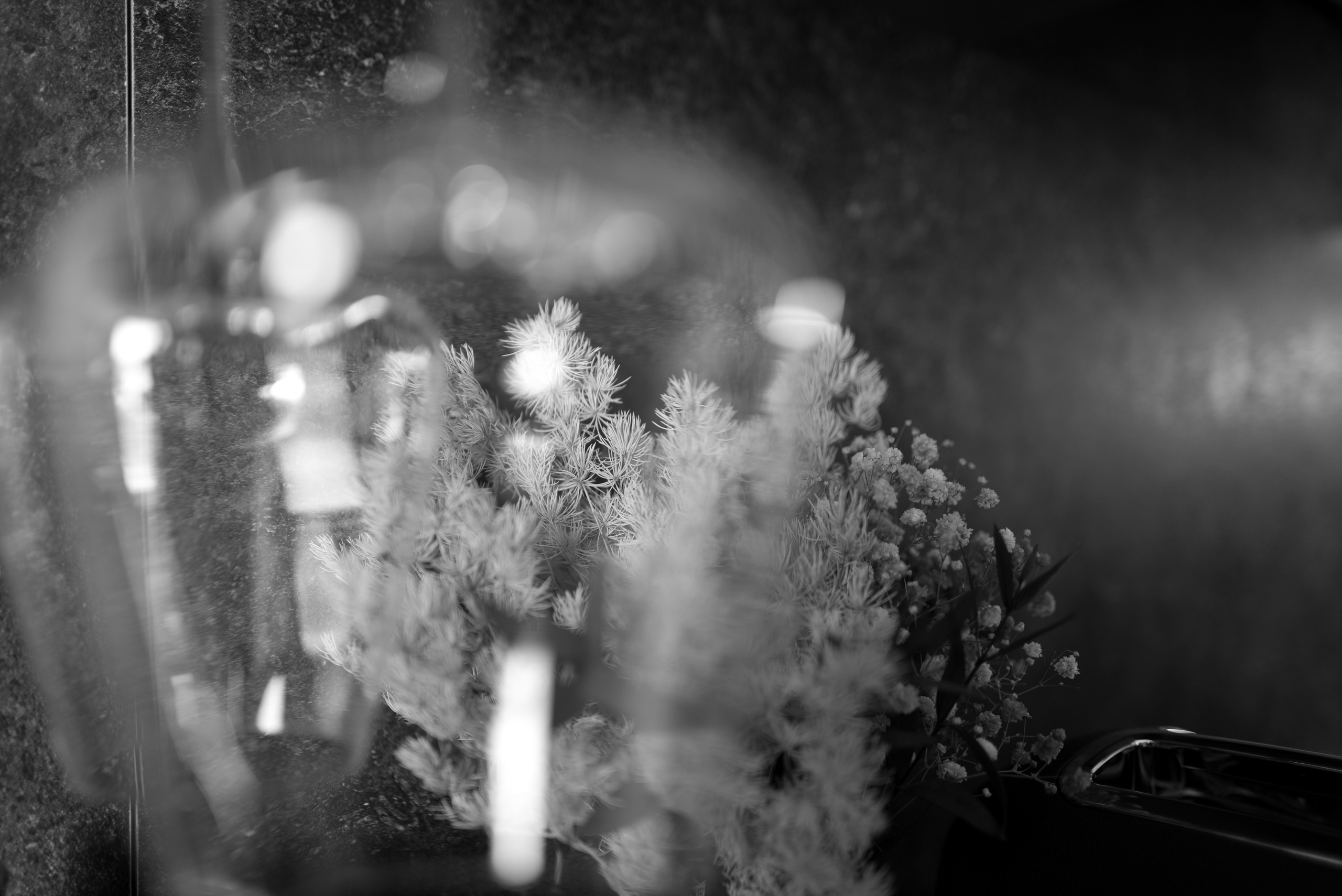 Букет из сухоцветов сквозь бокал