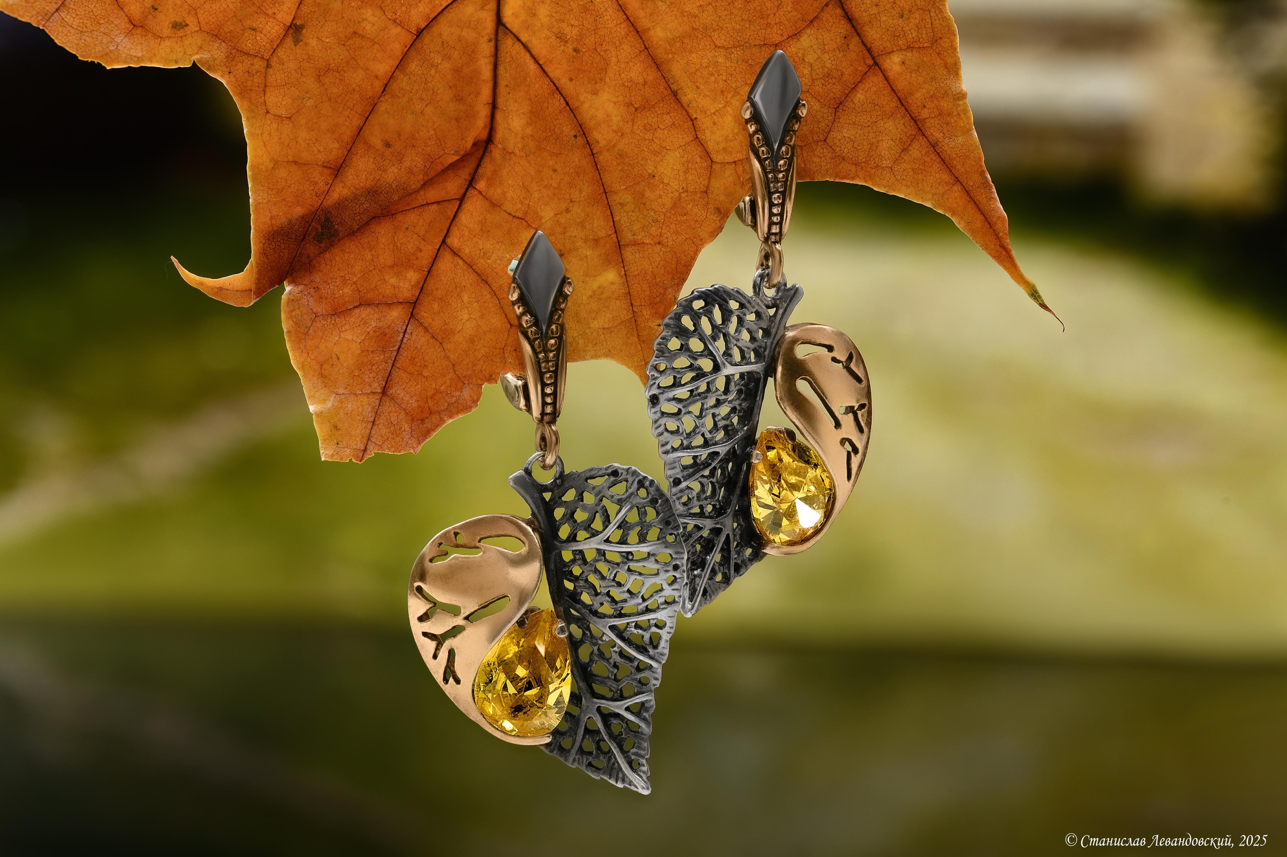 Предметы с глянцевой поверхностью. Предметный фотограф в Москве Станислав Левандовский