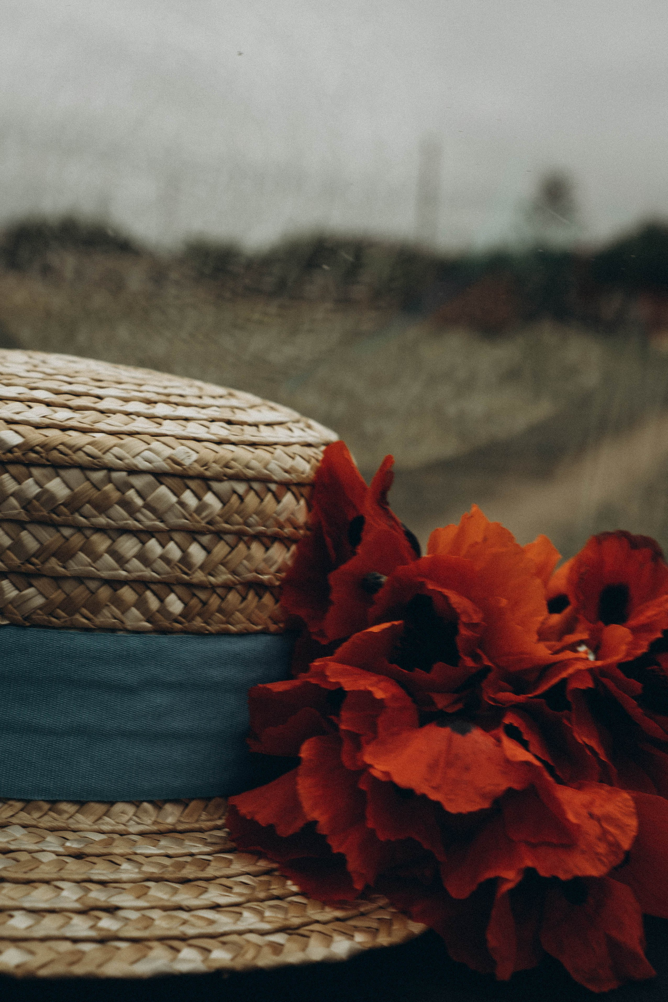 Кавказ. Профессиональный фотограф, Санкт-Петербург — Виктория Богомолова