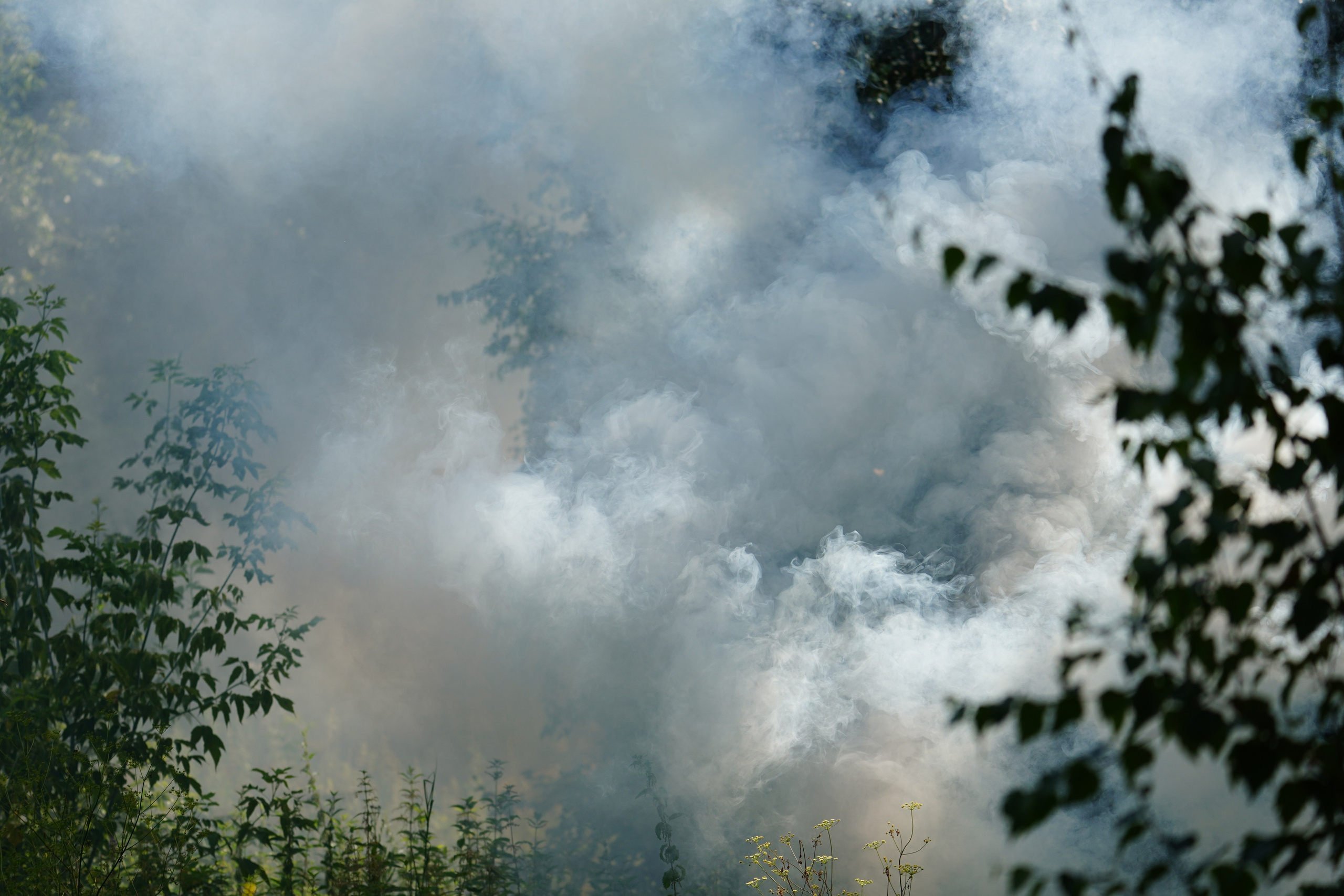 Окружные Сборы ПФО «Зарница 2.0». Pupov.png