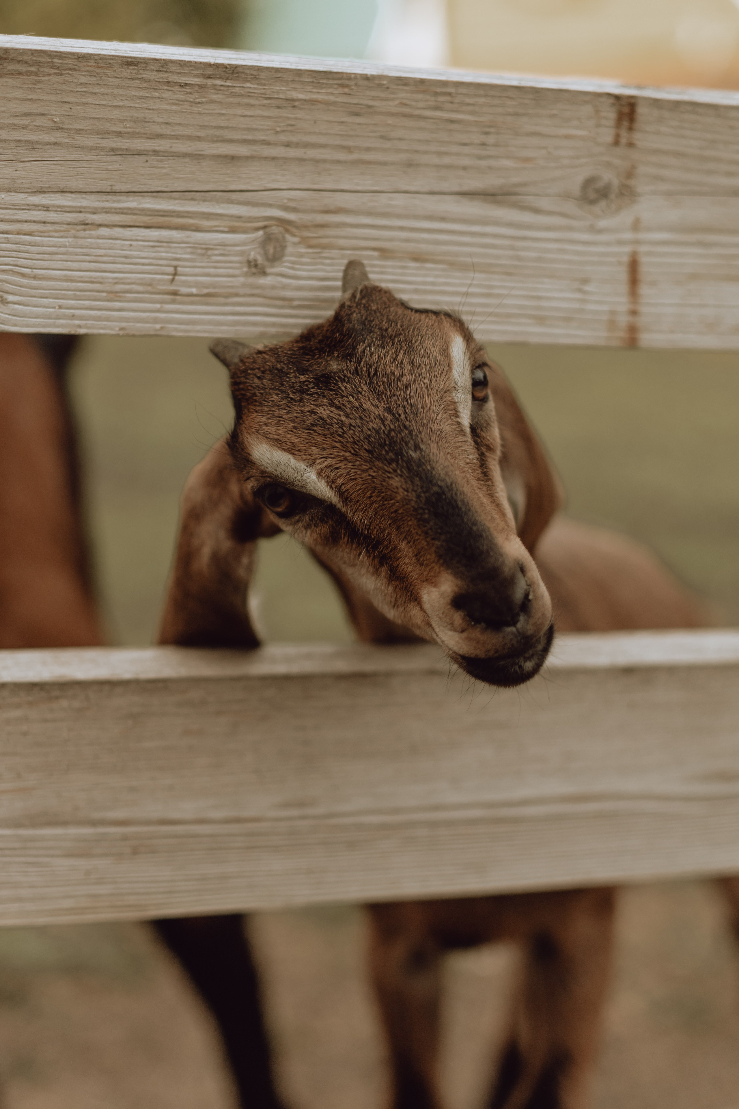 Наташа. Главная