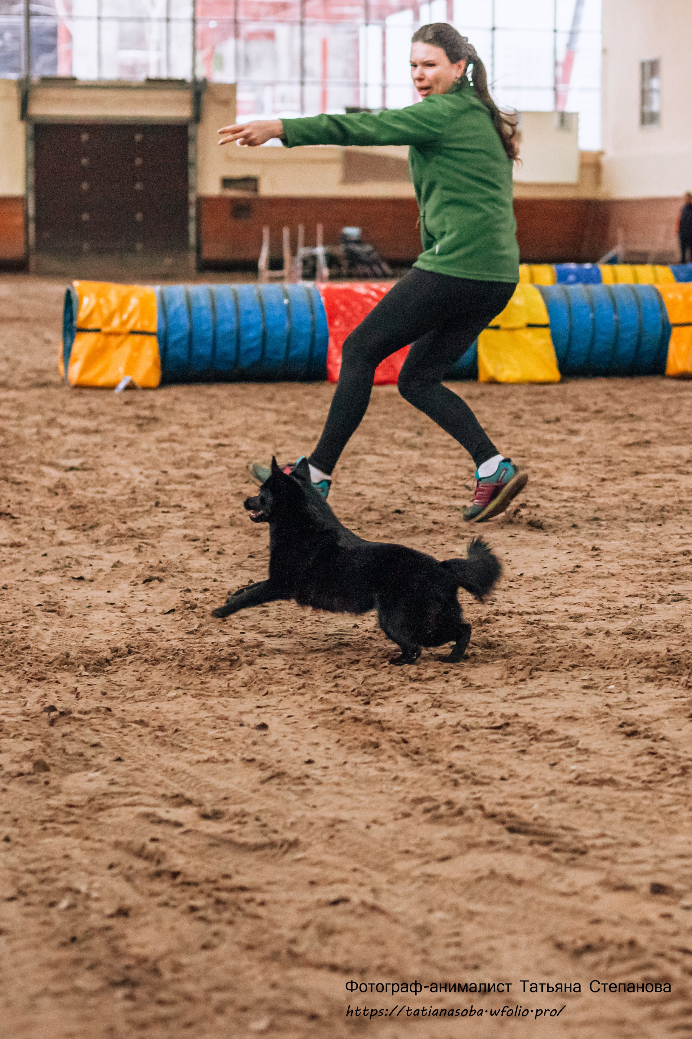 Соревнования по Аджилити 25.02.2024. Фотограф-анималист Татьяна Степанова