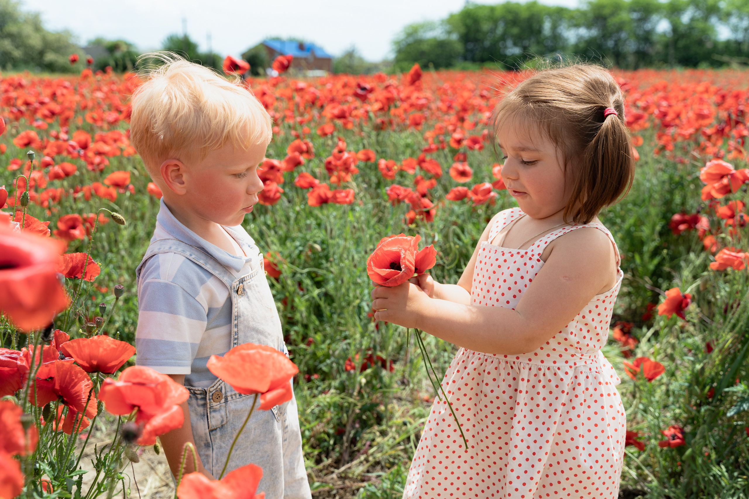 Дети. Фотограф в Анапе Динара Шеви