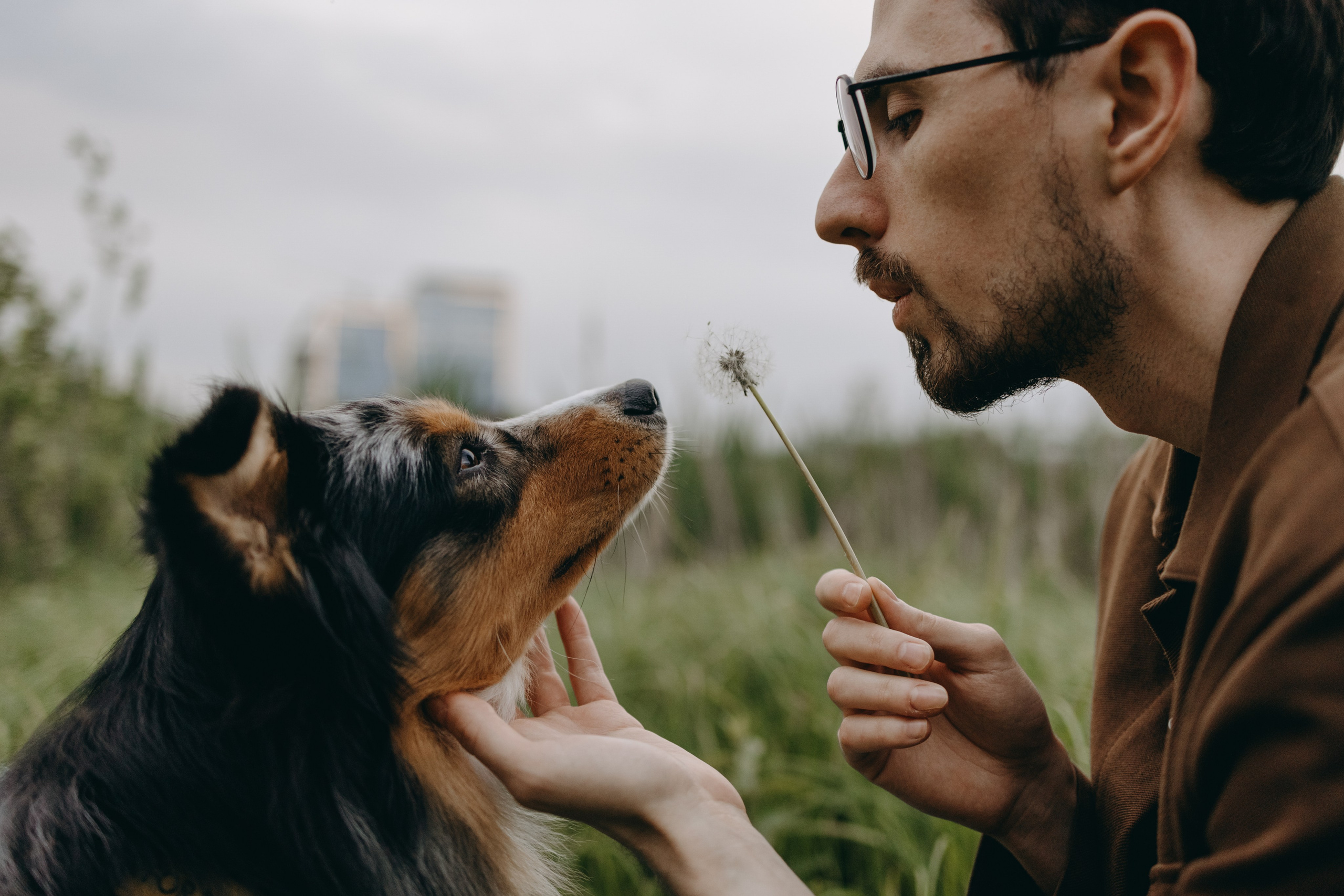 Настя, Никита и их Гром и Мяу. Фотограф — Анималист | Санкт-Петербург