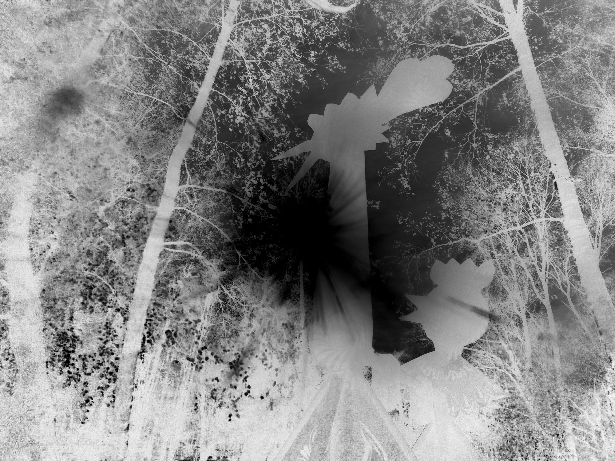 Teplushka project. Янина болдырева Yanina Boldyreva