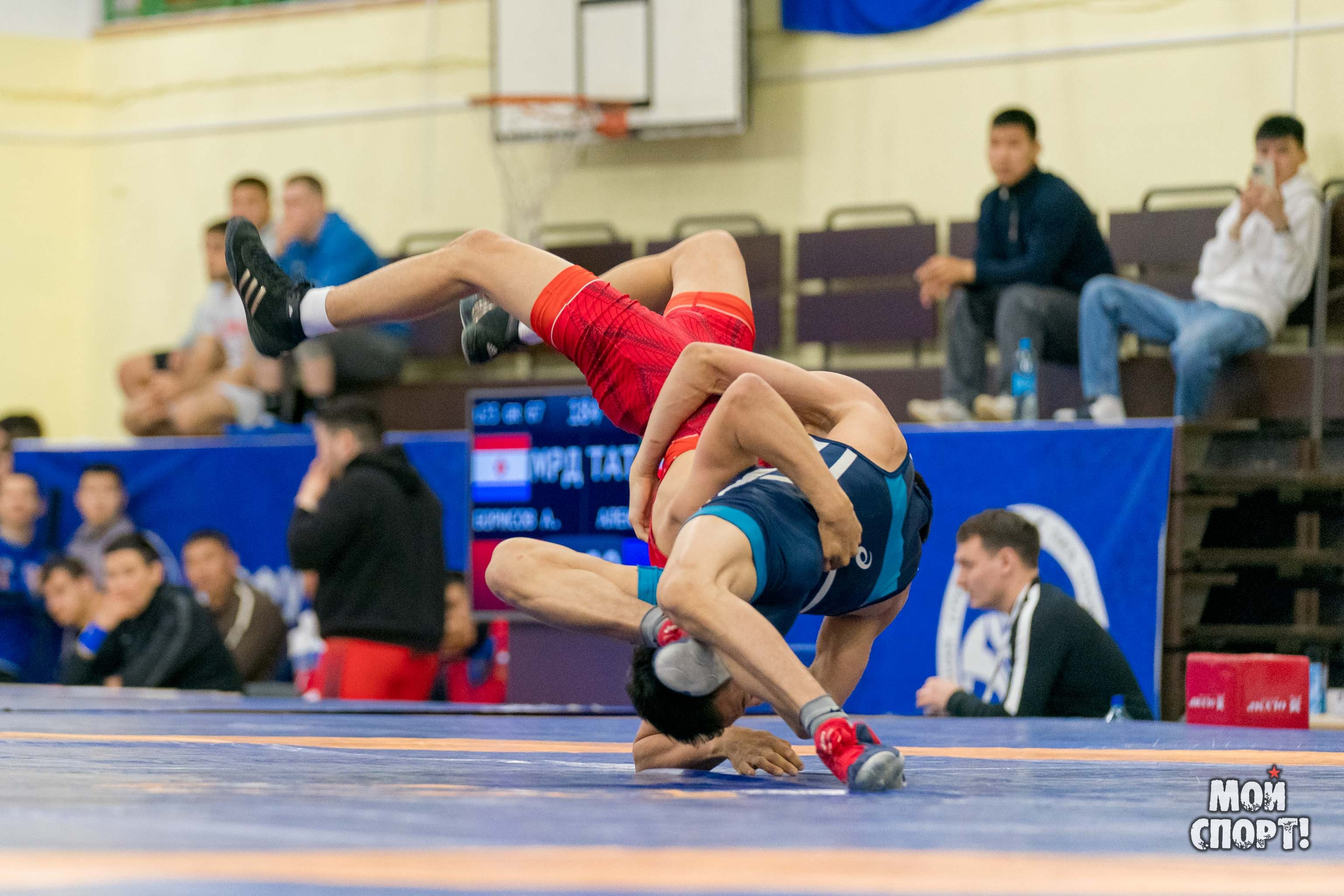 Чемпионат России среди студентов по спортивной борьбе 2024. ГРБ. Студия «Мой Спорт!» — все о спорте в Якутии