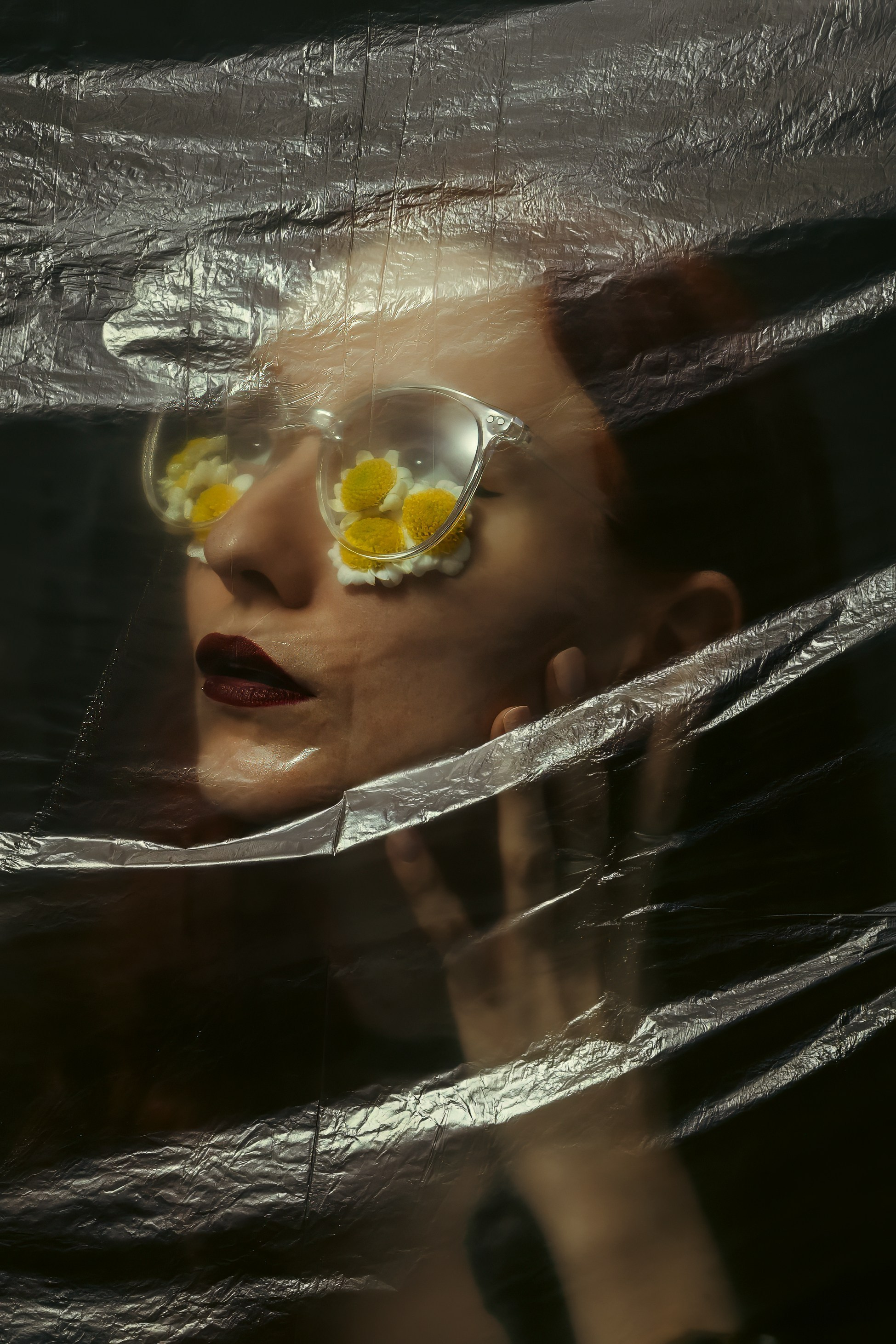 Студийное. Photomantis