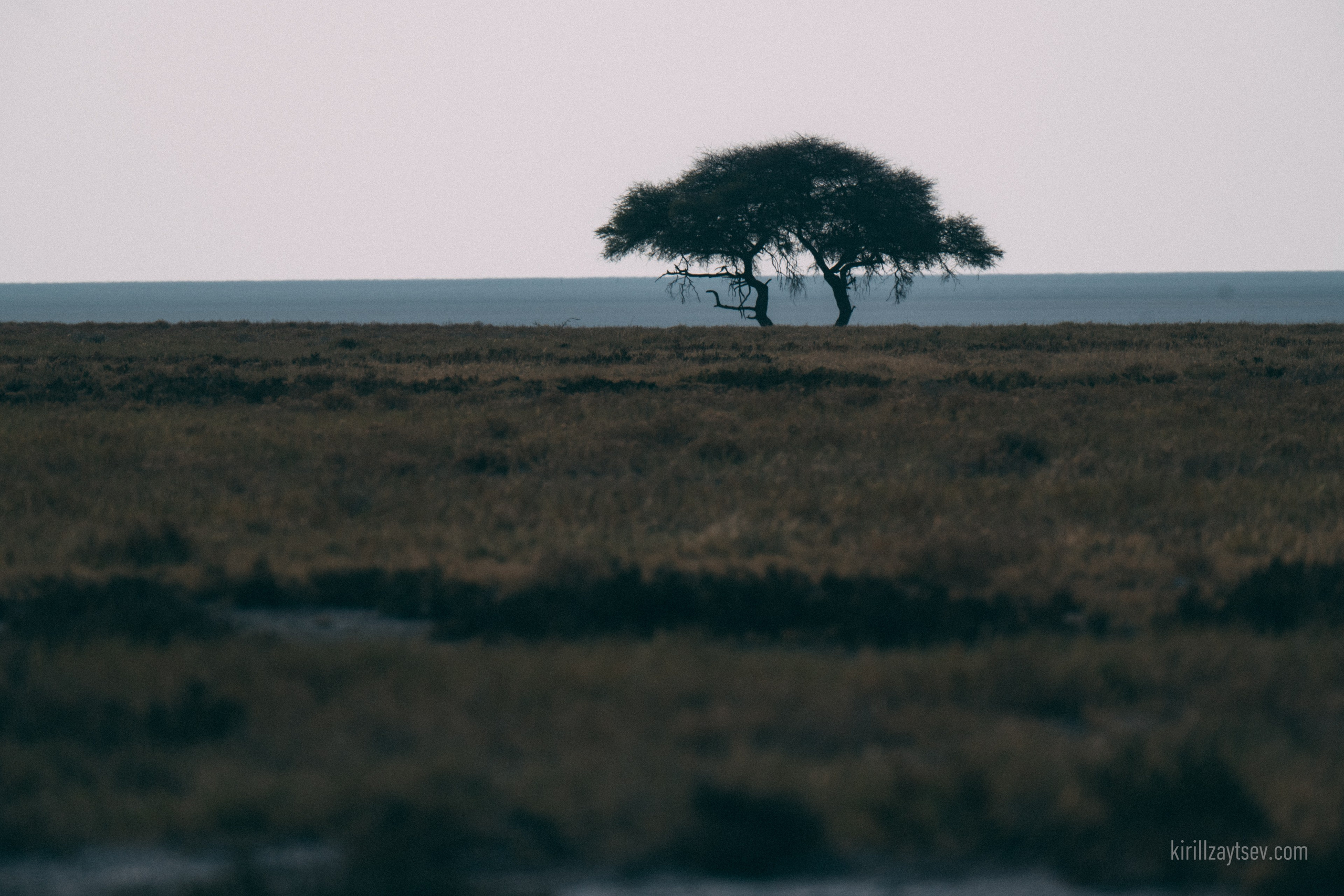 Жизнь. Профессиональный фотограф Кирилл Зайцев