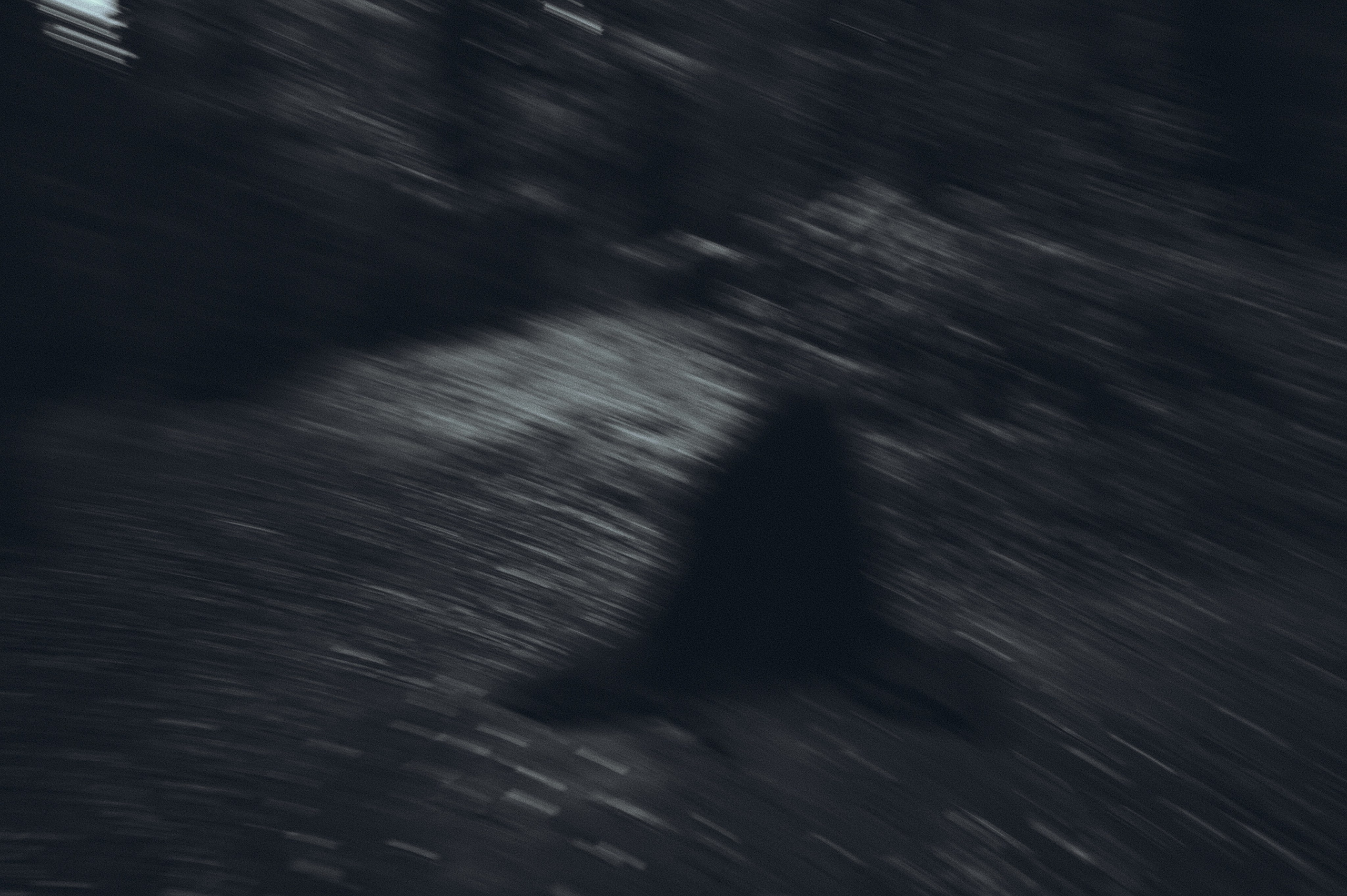 Вдохновление утренним туманом. Ваагн Малхасян | Фотограф | Санкт-Петербург. Создаю атмосферные кадры