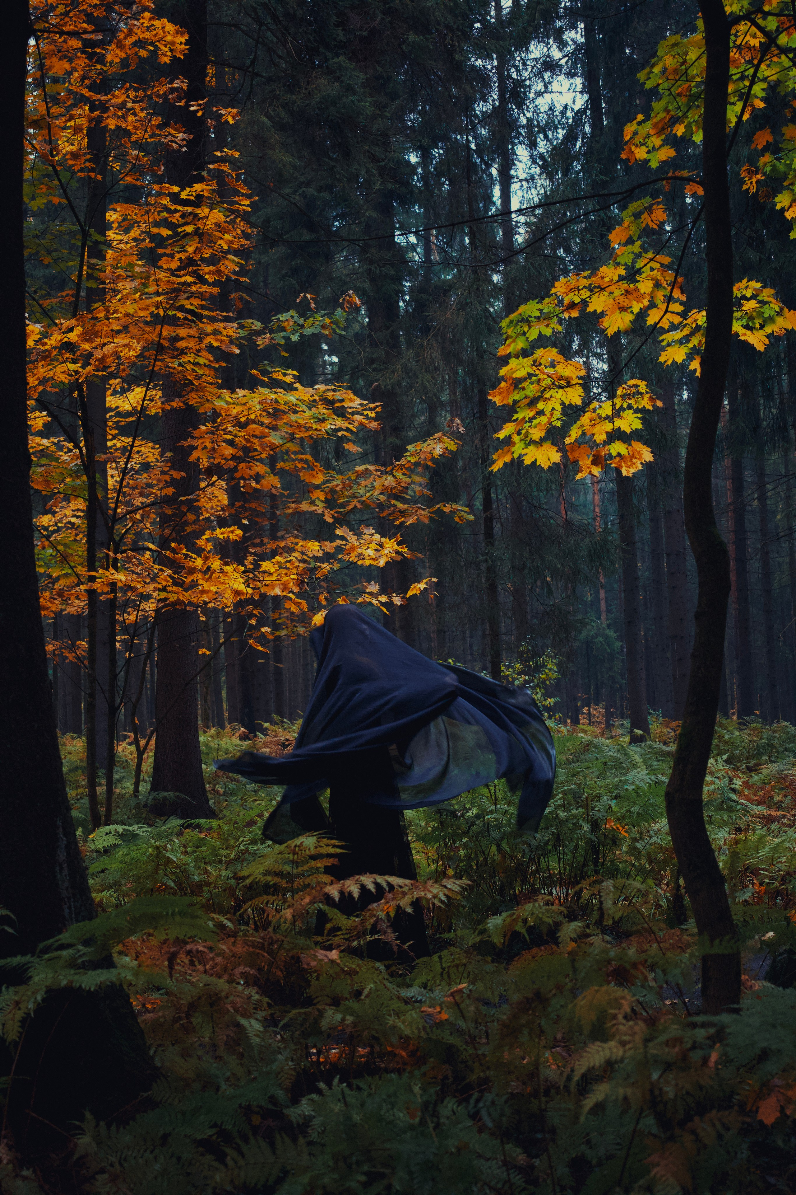 Где спит туман. Ваагн Малхасян | Фотограф | Санкт-Петербург. Создаю атмосферные кадры