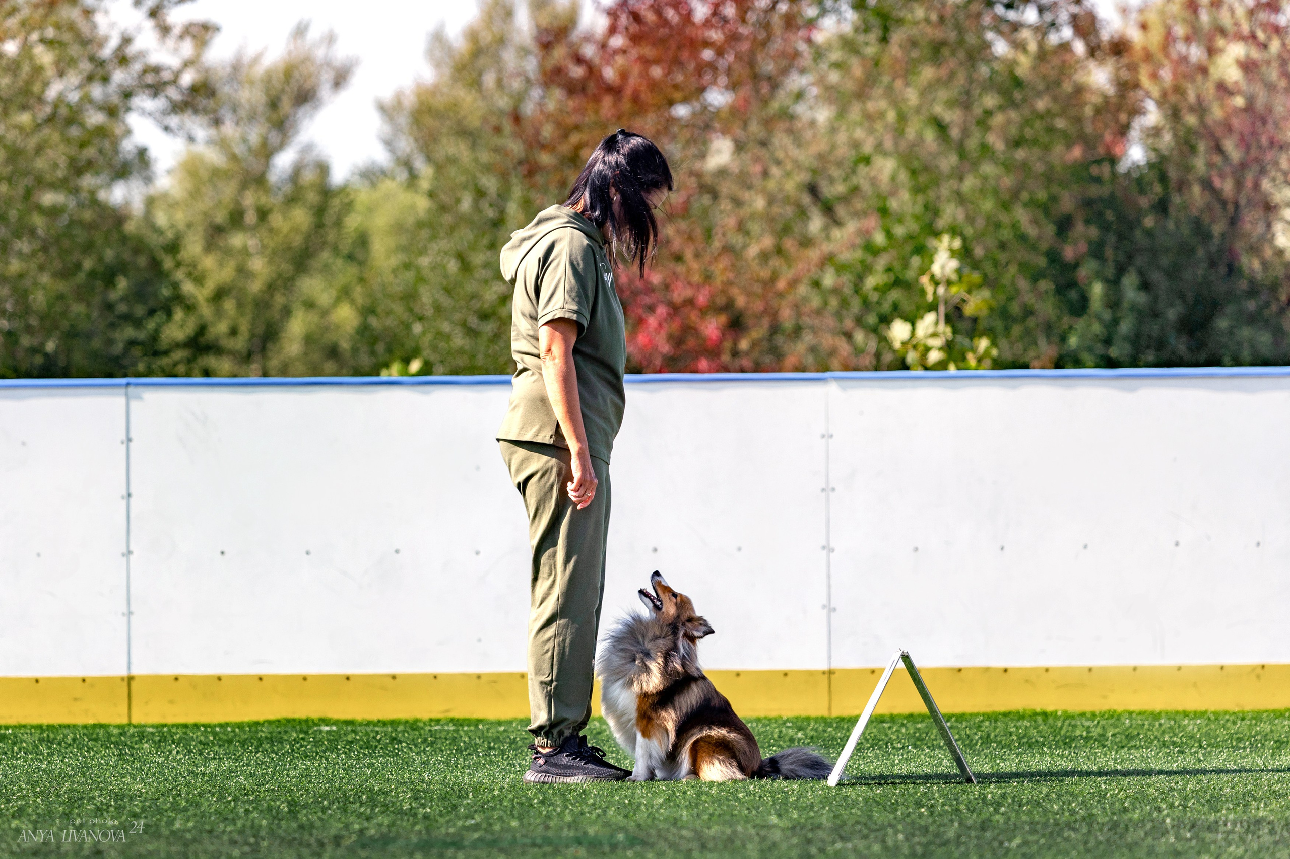 Ралли обидиенс. Фотограф анималист Аня Ливанова | Рыбинск