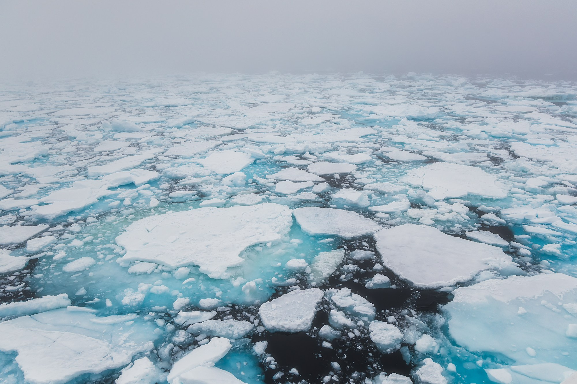 Арктика. Аэросъемка в Архангельске, Александр Ермолин