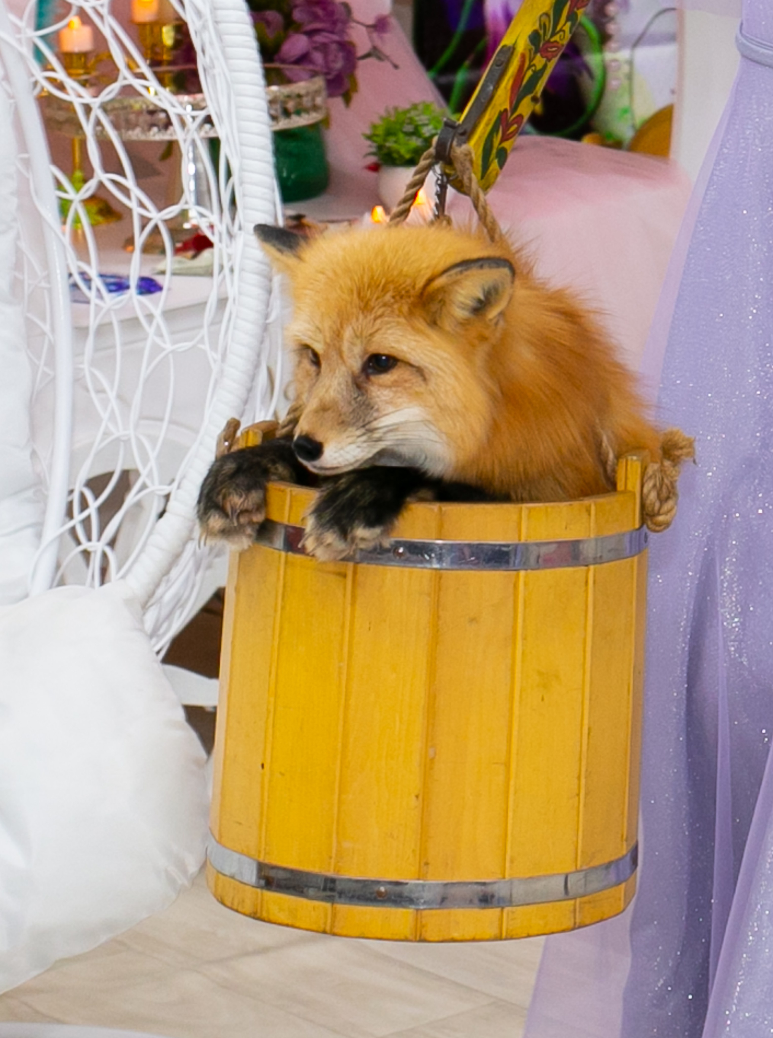 Праздники. Фотограф новорожденных и семейный фотограф НСО г. Бердск Марина Львова