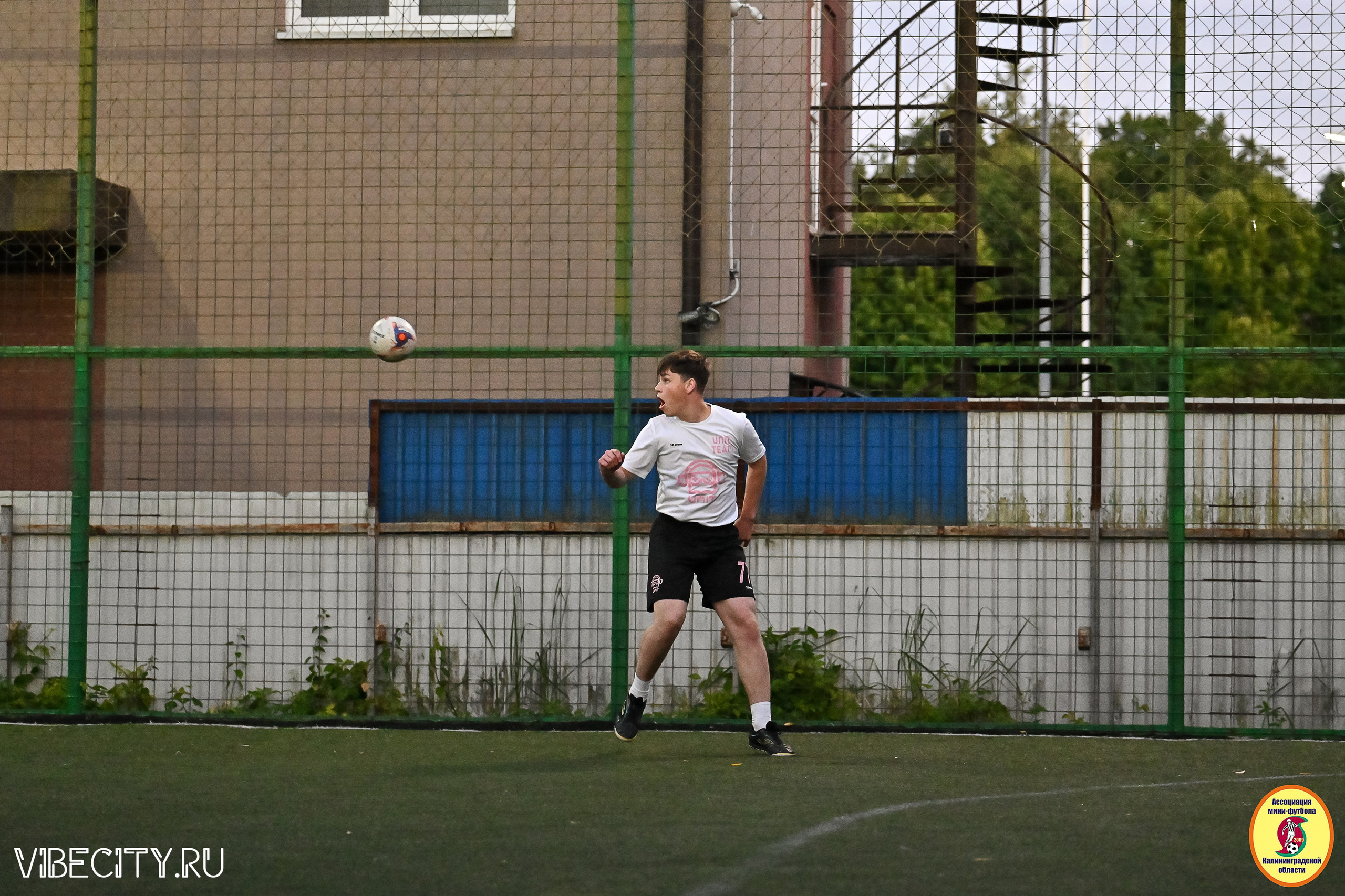 ИГРЫ МИНИ-ФУТБОЛЬНОЙ И КОРПОРАТИВНОЙ ЛИГИ. VIBECITY.RU Вайб Сити Ру Фоторепортажи Фотоотчеты Калининград