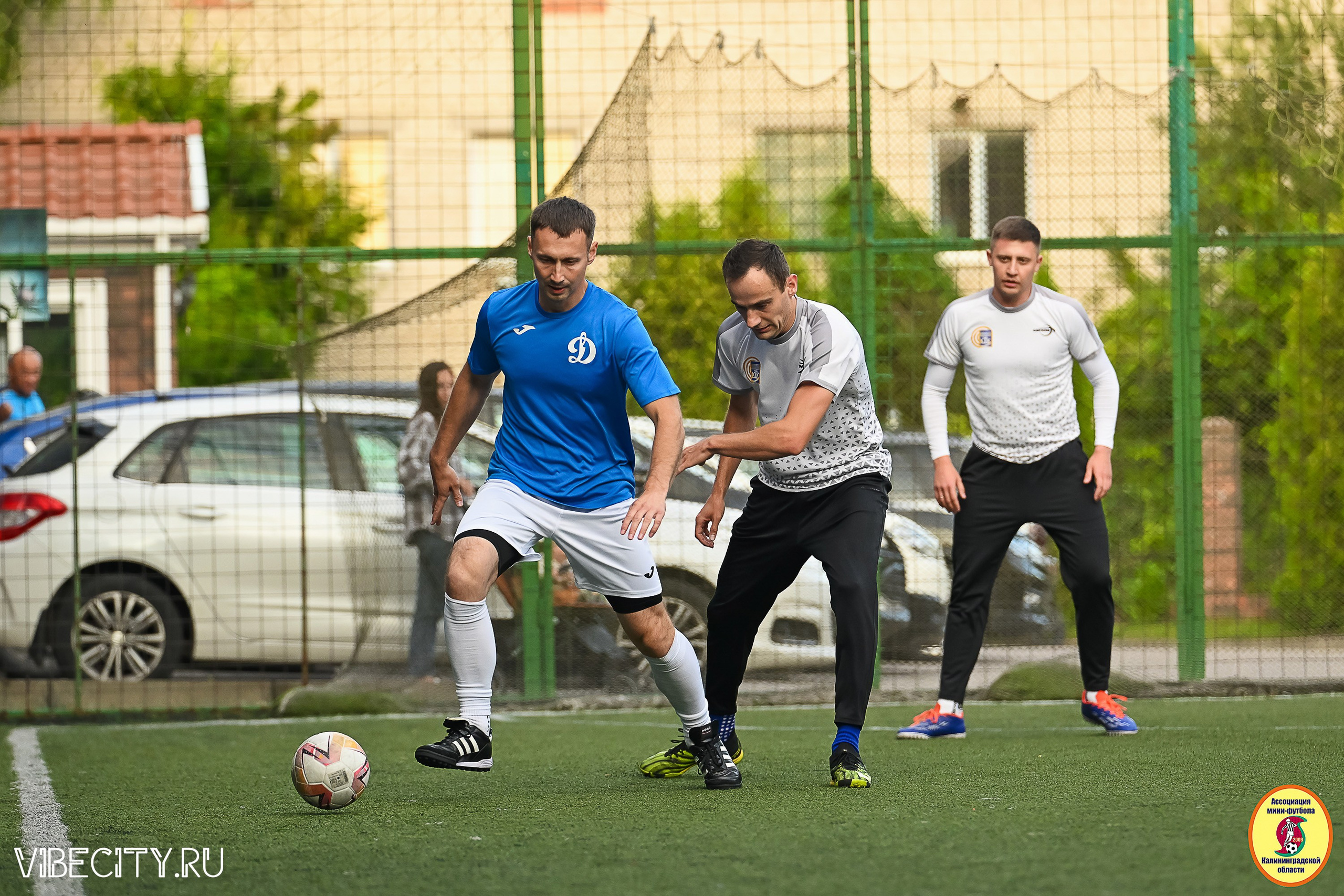 ИГРЫ ПЛЕЙ-ОФФ ПЕРВОГО ДИВИЗИОНА МИНИ-ФУТБОЛЬНОЙ ЛИГИ. VIBECITY.RU Вайб Сити Ру Фоторепортажи Фотоотчеты Калининград
