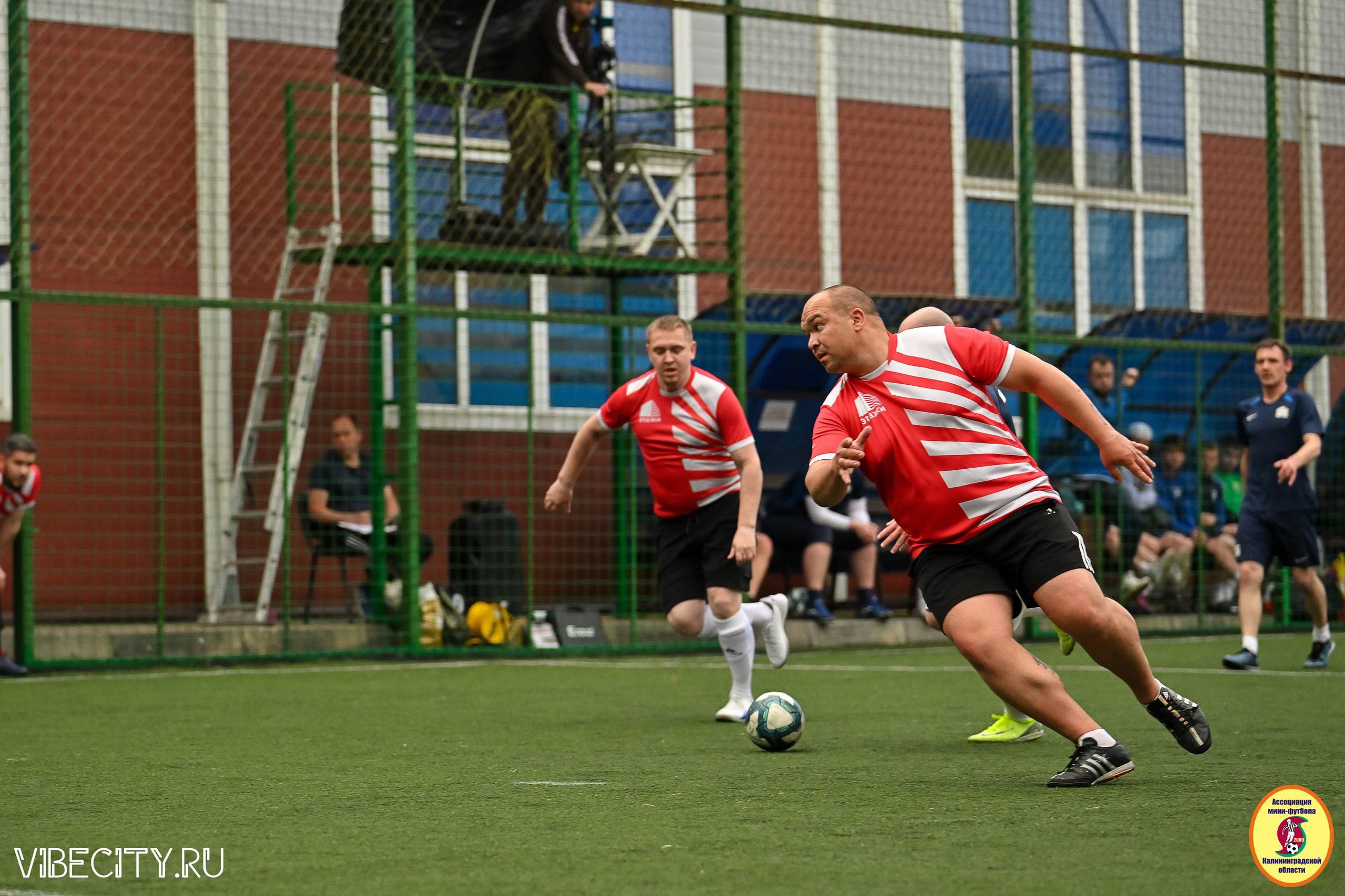 ИГРЫ МИНИ-ФУТБОЛЬНОЙ И КОРПОРАТИВНОЙ ЛИГИ. VIBECITY.RU Вайб Сити Ру Фоторепортажи Фотоотчеты Калининград