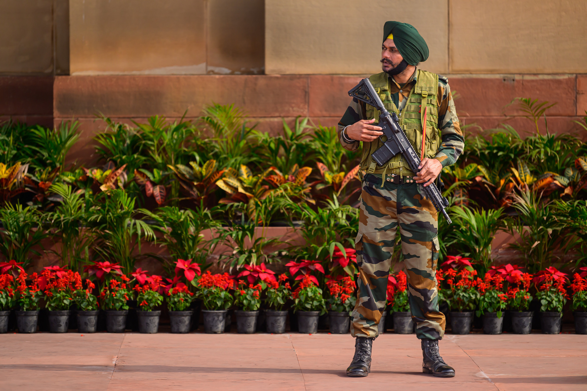 Индия. Wildlife photography by Sergey Puponin