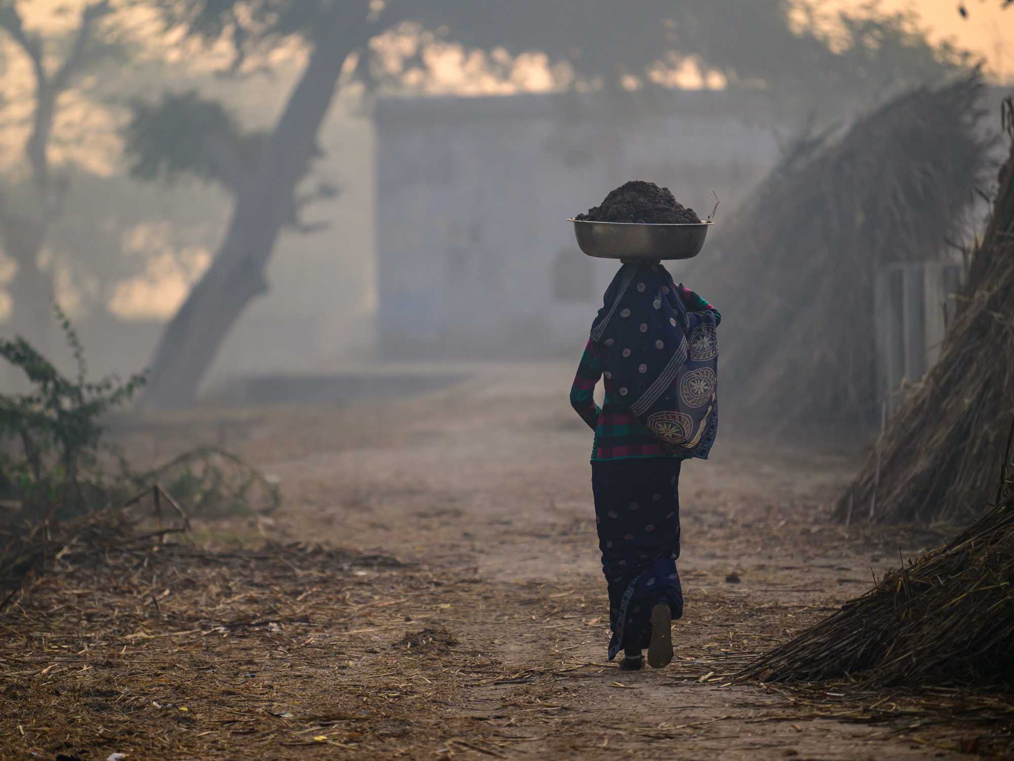 Индия. Wildlife photography by Sergey Puponin
