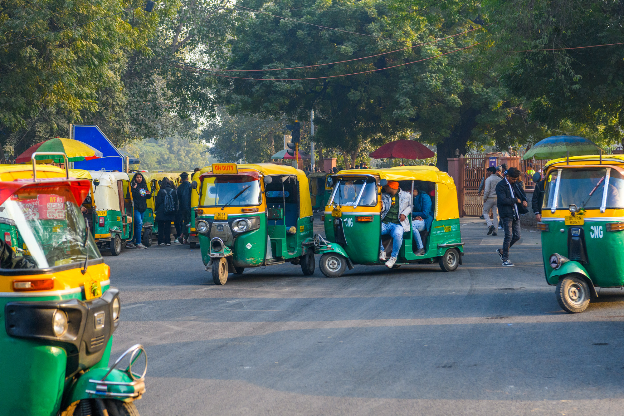 Индия. Wildlife photography by Sergey Puponin