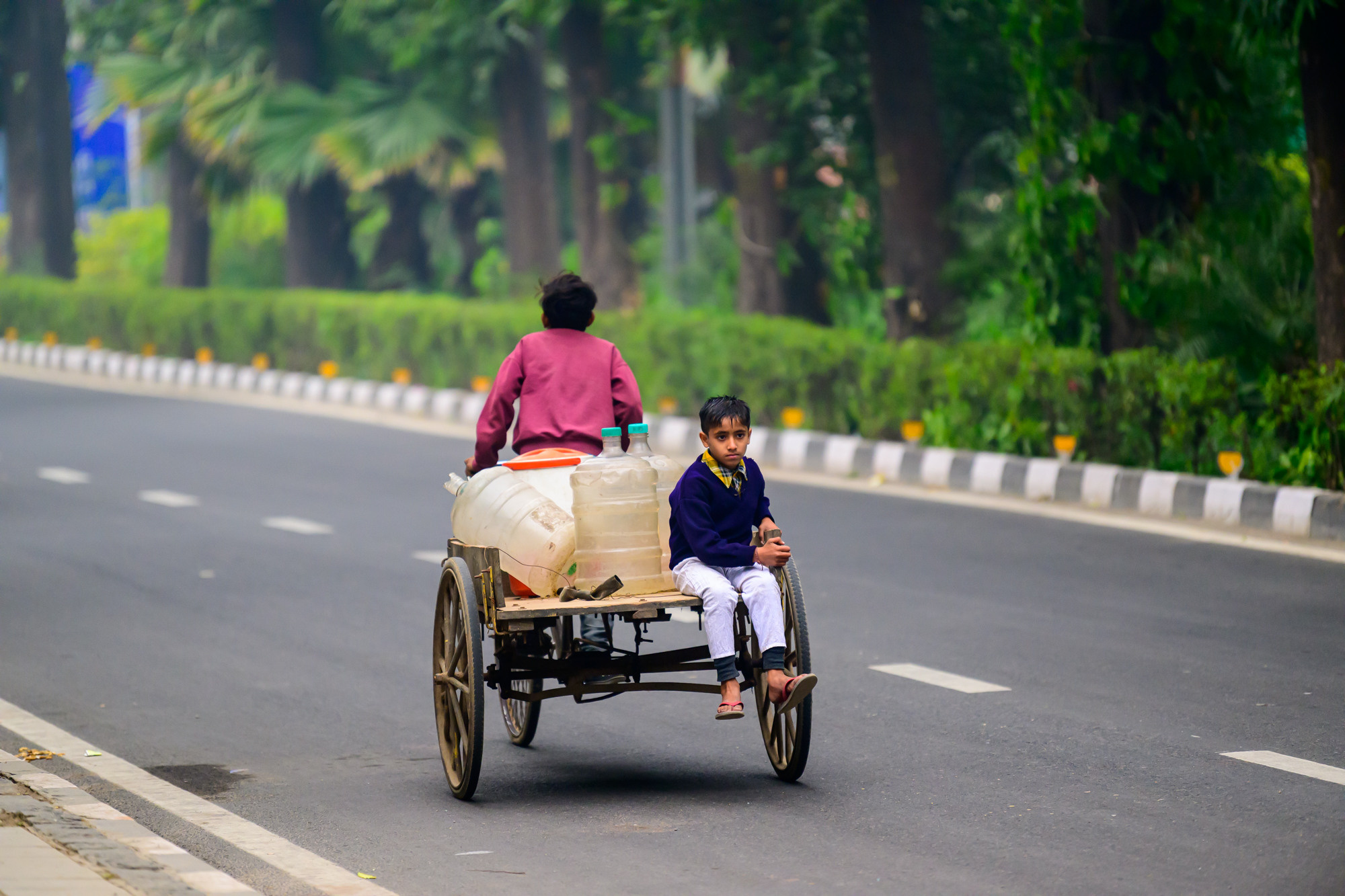 Индия. Wildlife photography by Sergey Puponin