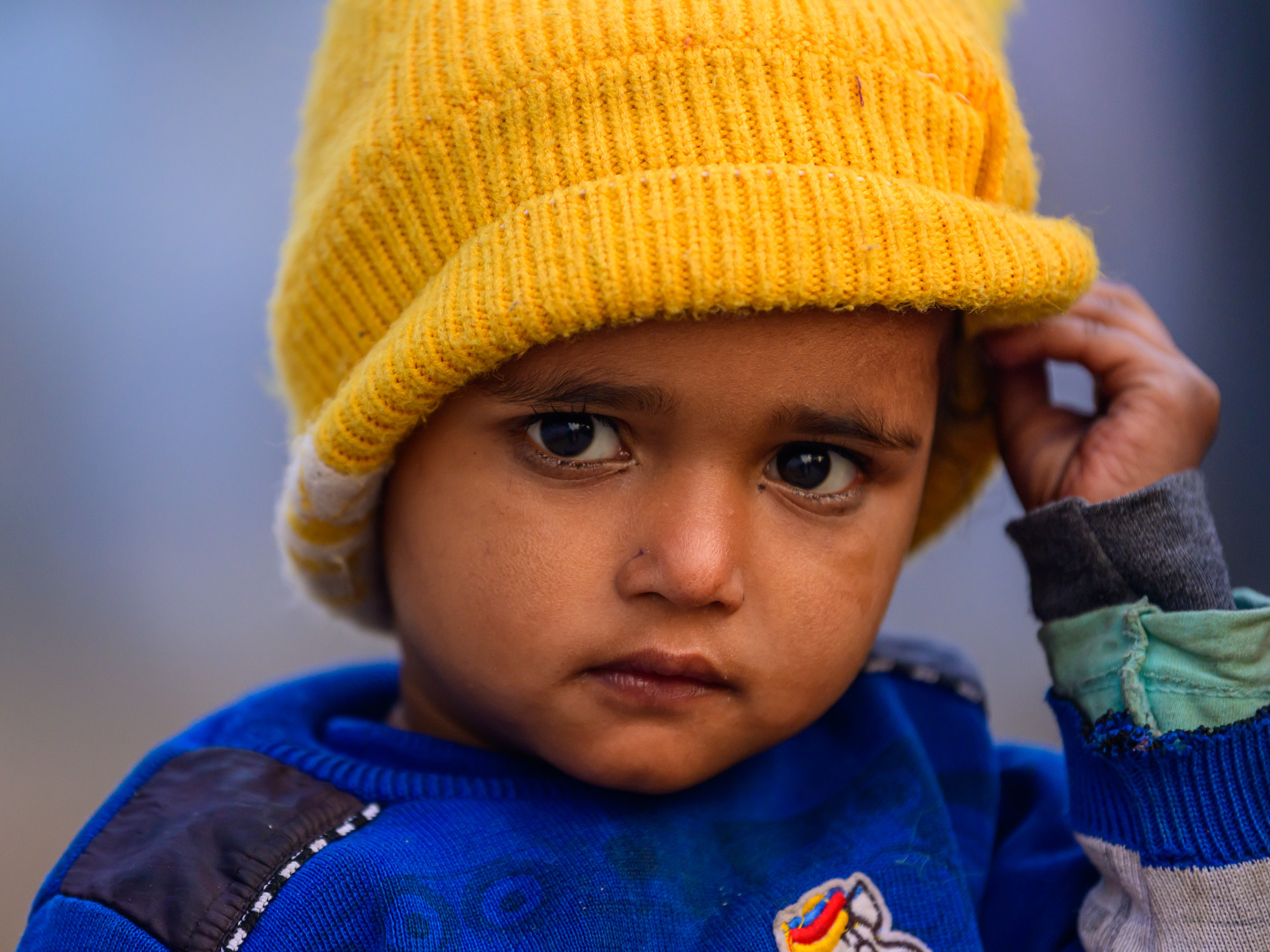 Индия. Wildlife photography by Sergey Puponin