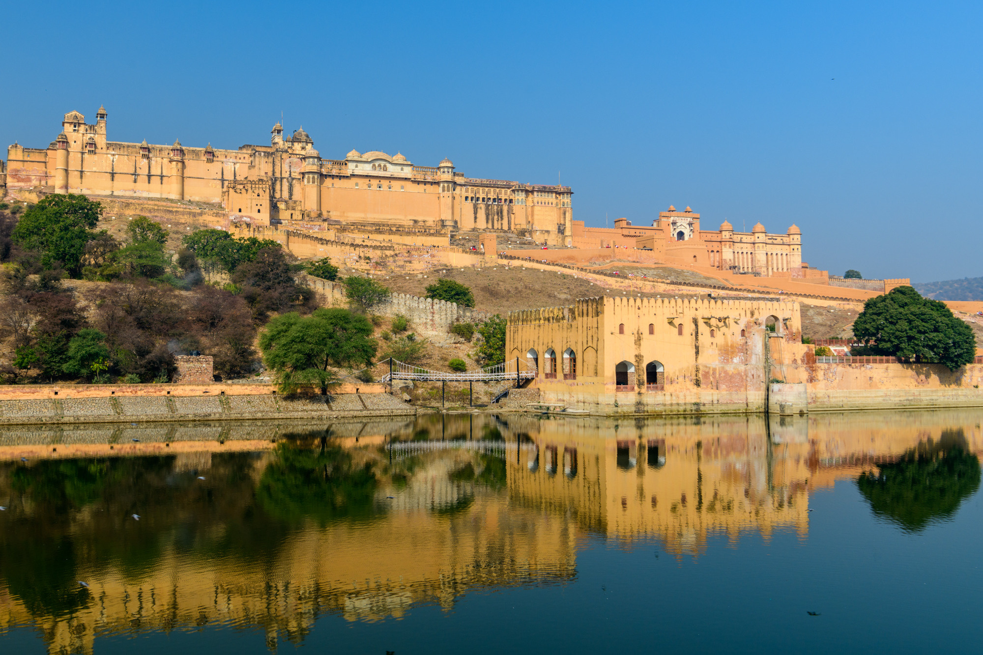 Индия. Wildlife photography by Sergey Puponin