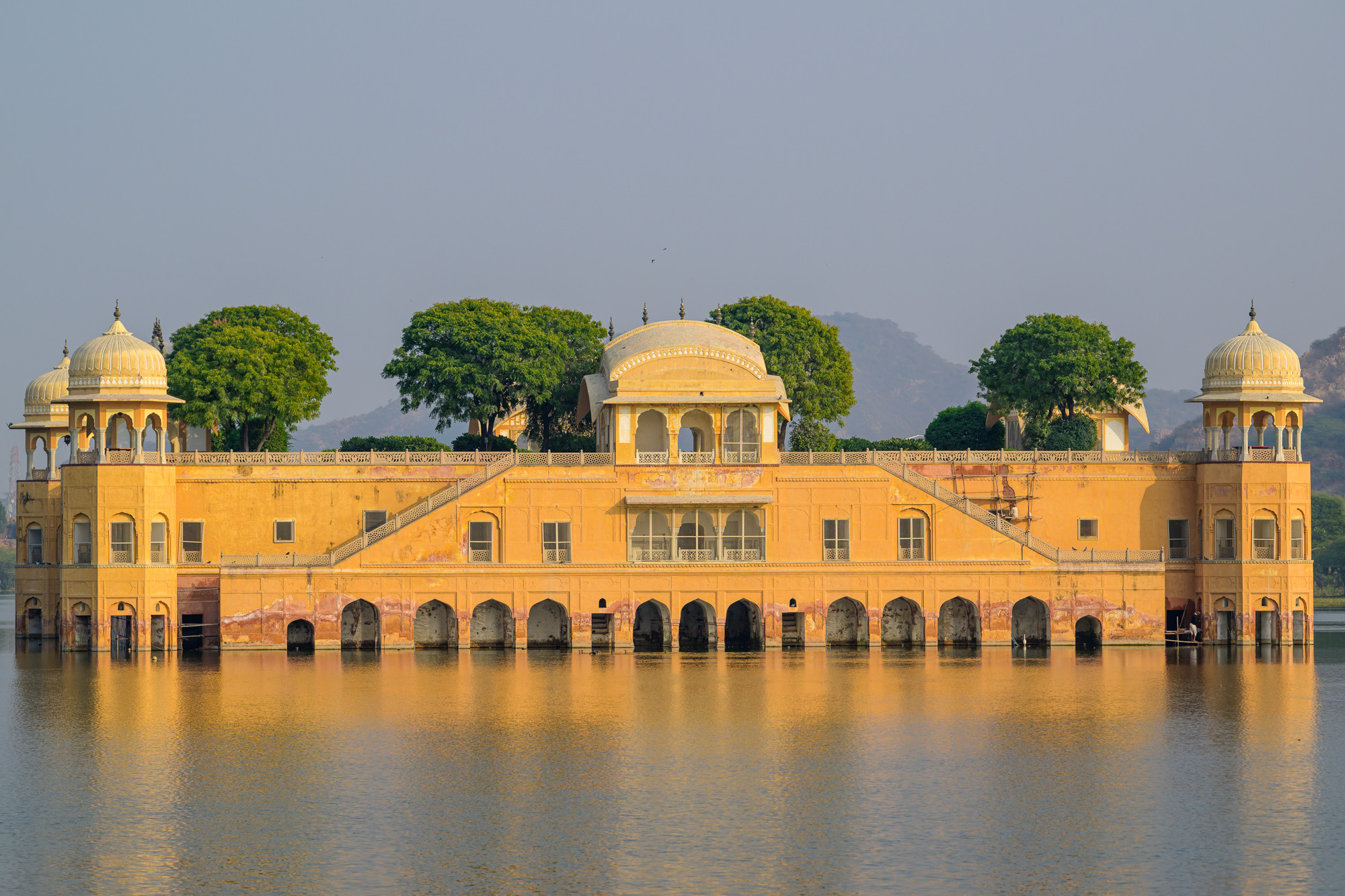 Индия. Wildlife photography by Sergey Puponin