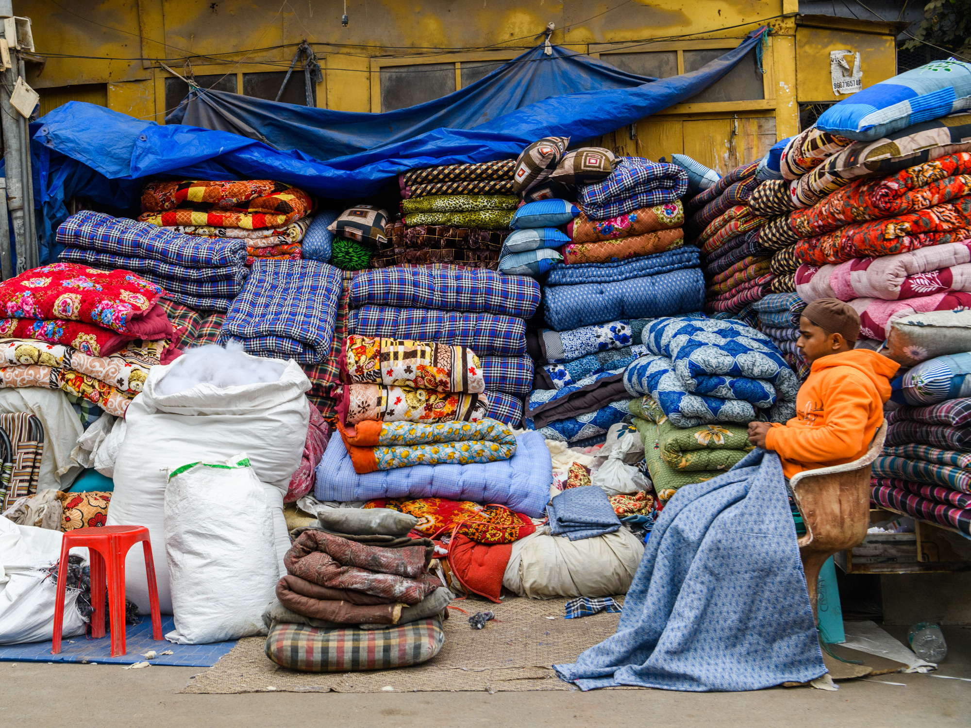 Индия. Wildlife photography by Sergey Puponin