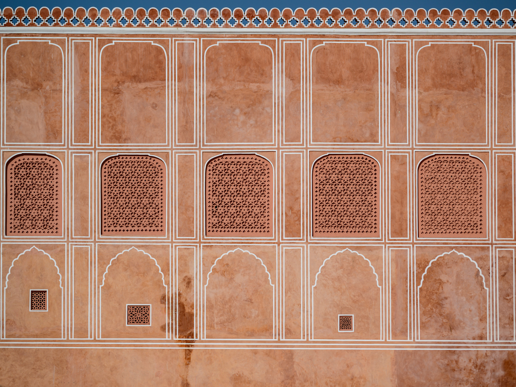 Индия. Wildlife photography by Sergey Puponin