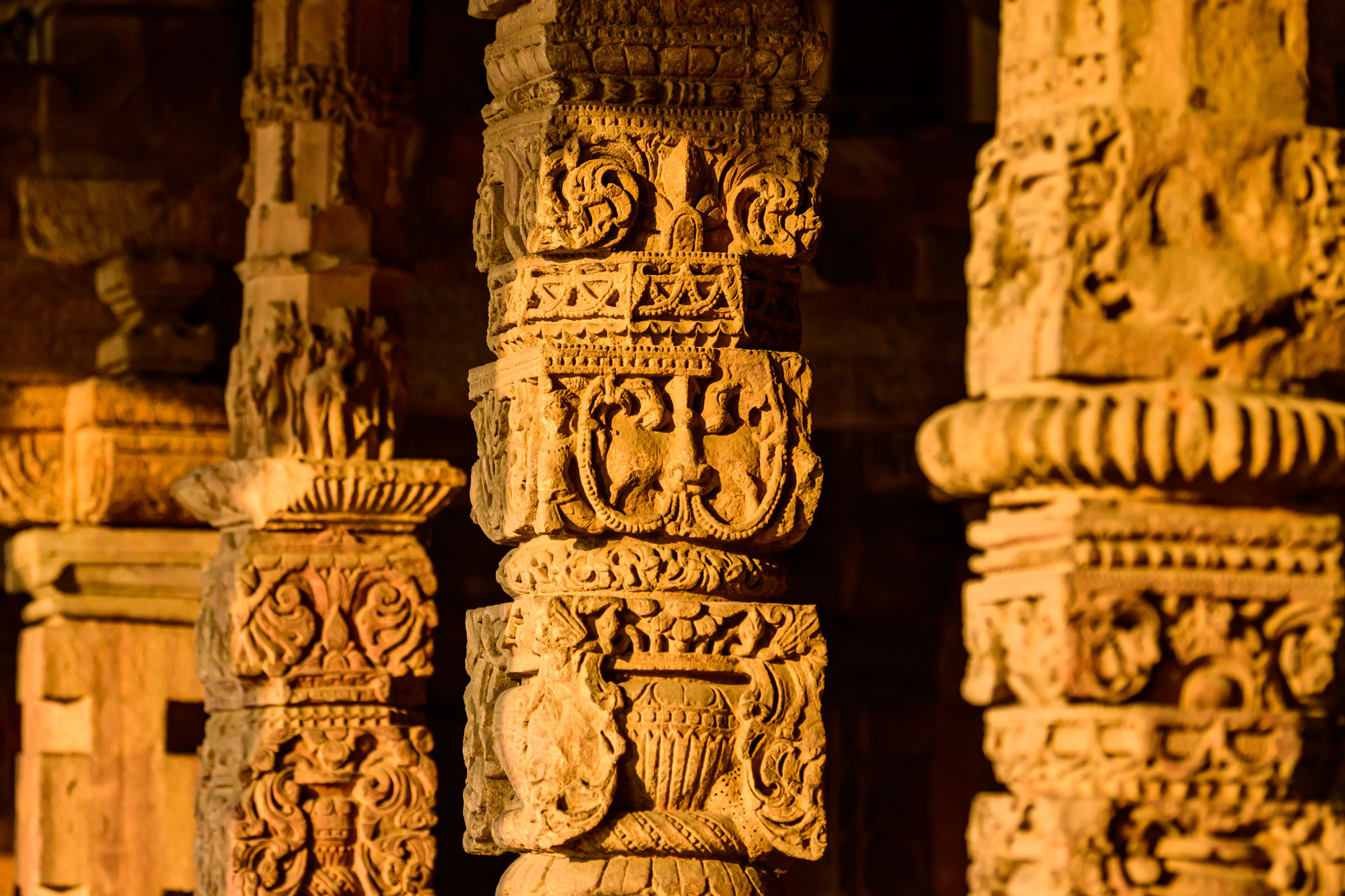 Индия. Wildlife photography by Sergey Puponin