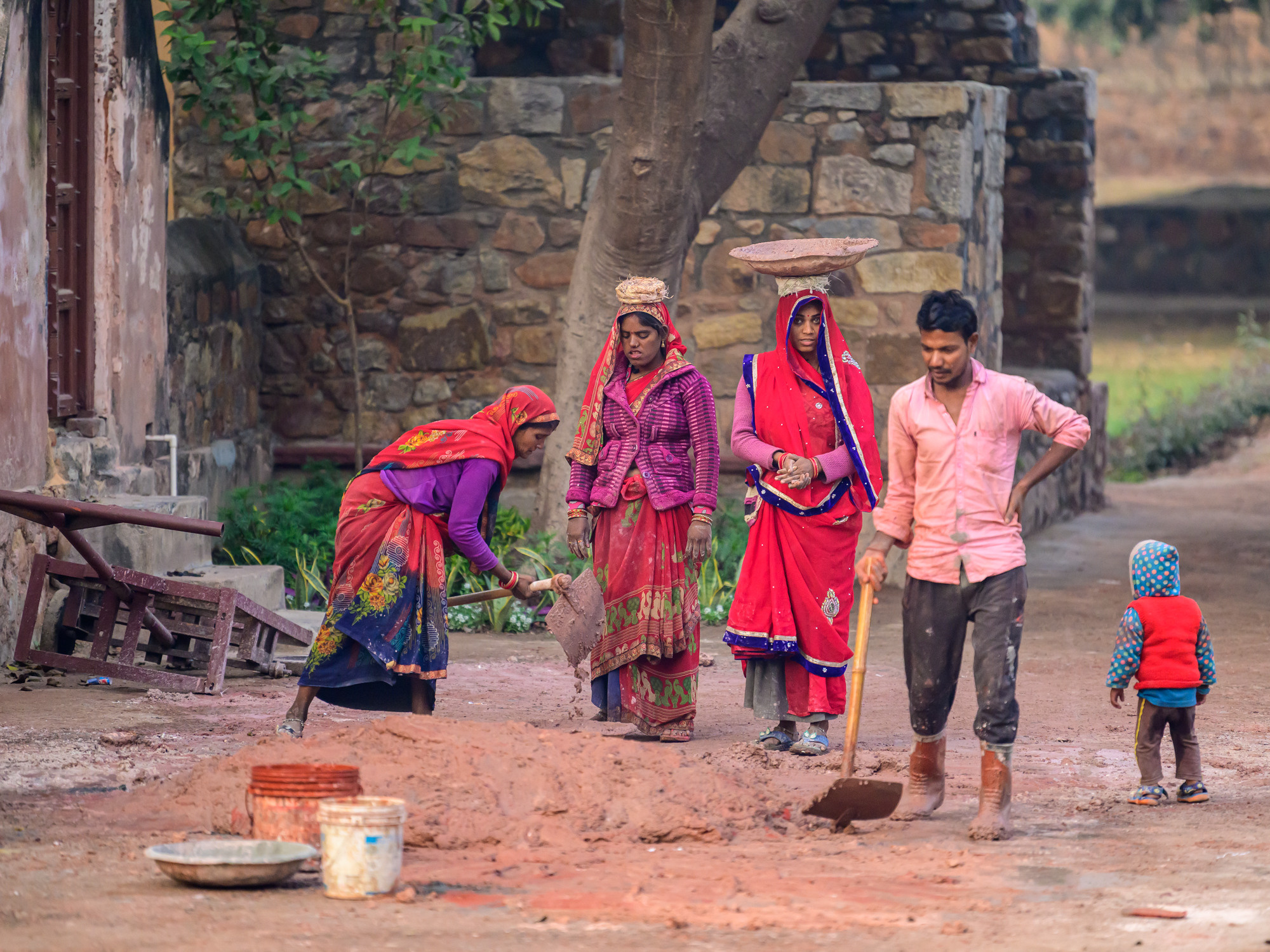 Индия. Wildlife photography by Sergey Puponin