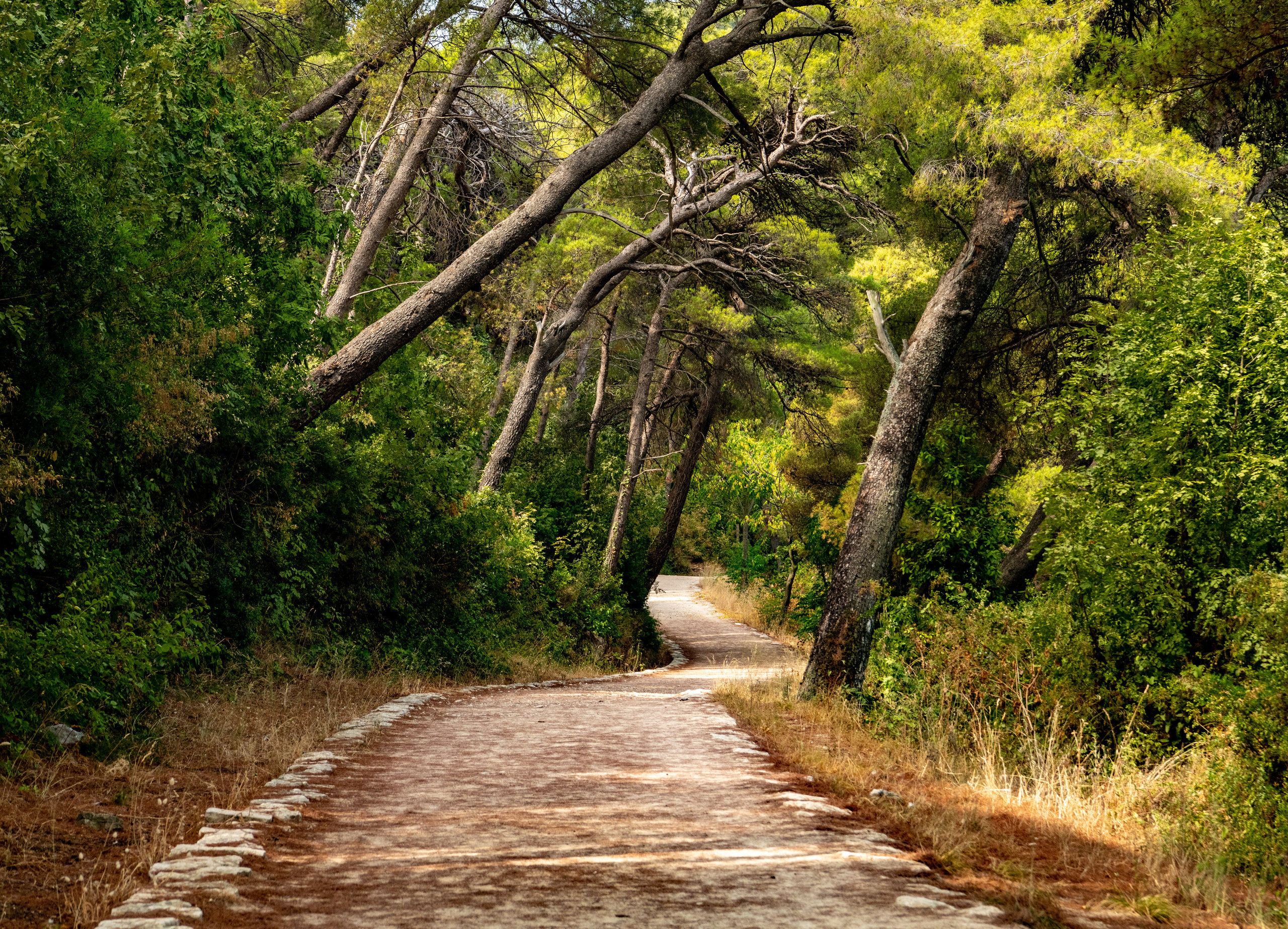 Места. Фотограф Сергей Пупонин