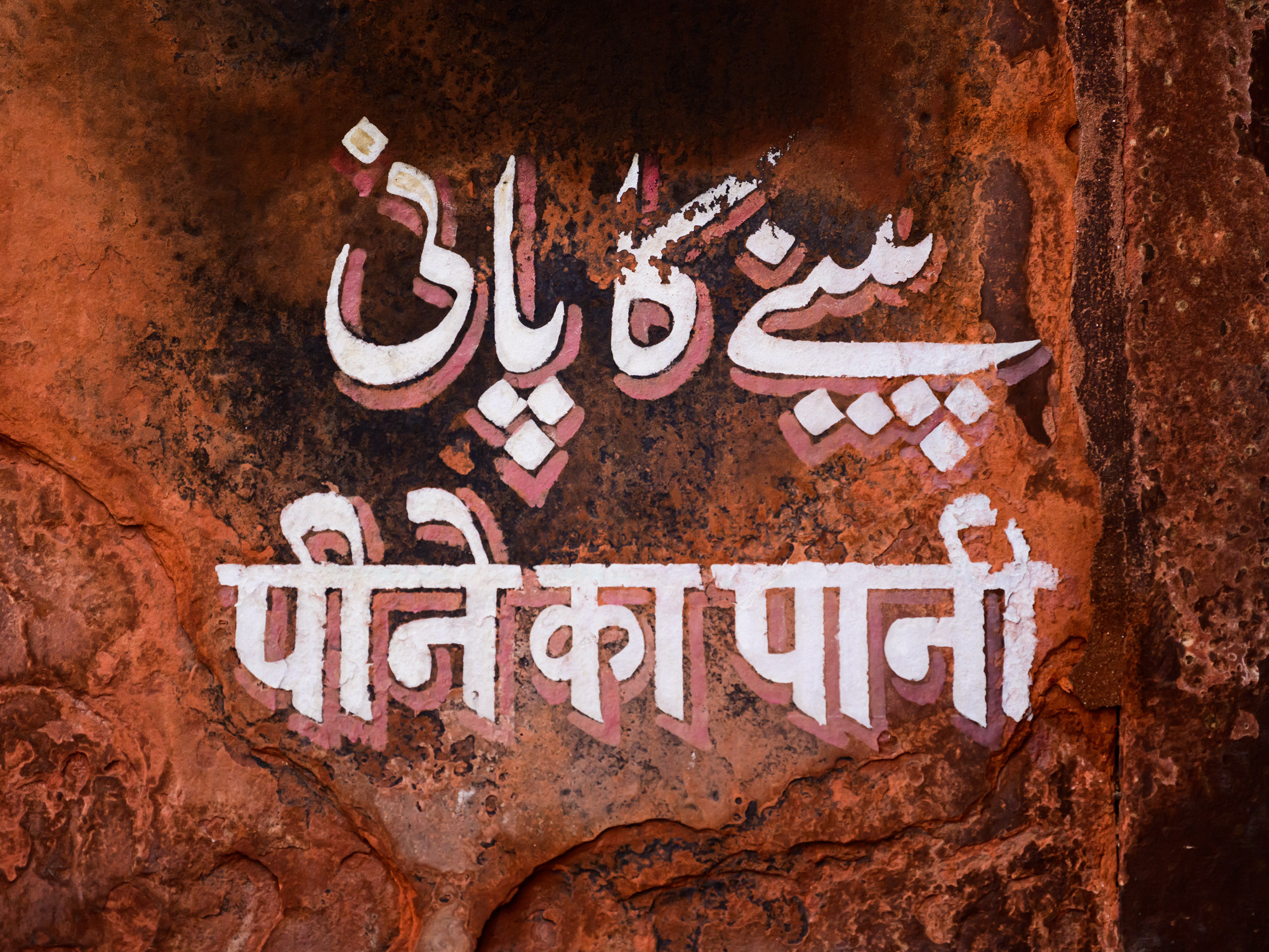 Индия. Wildlife photography by Sergey Puponin