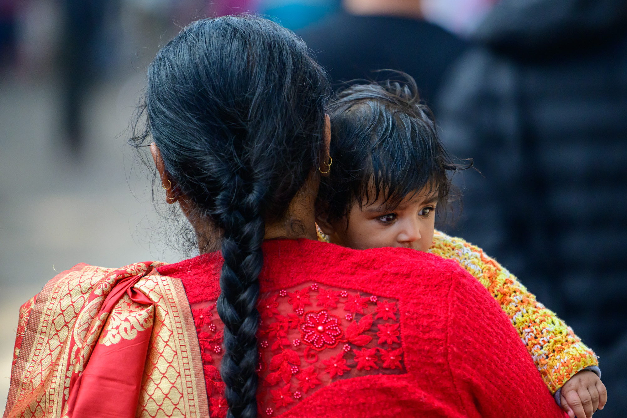 Индия. Wildlife photography by Sergey Puponin