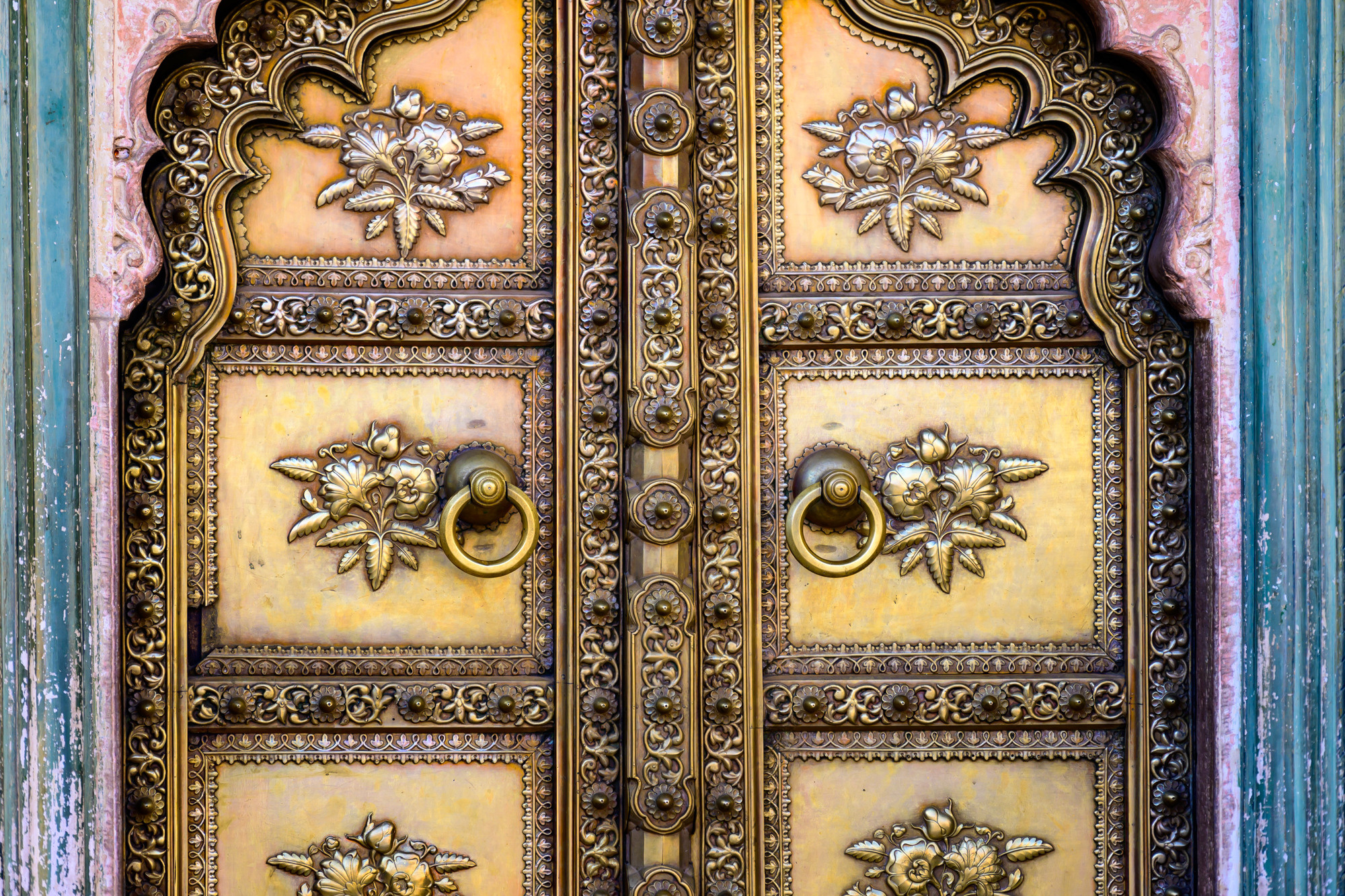 Индия. Wildlife photography by Sergey Puponin