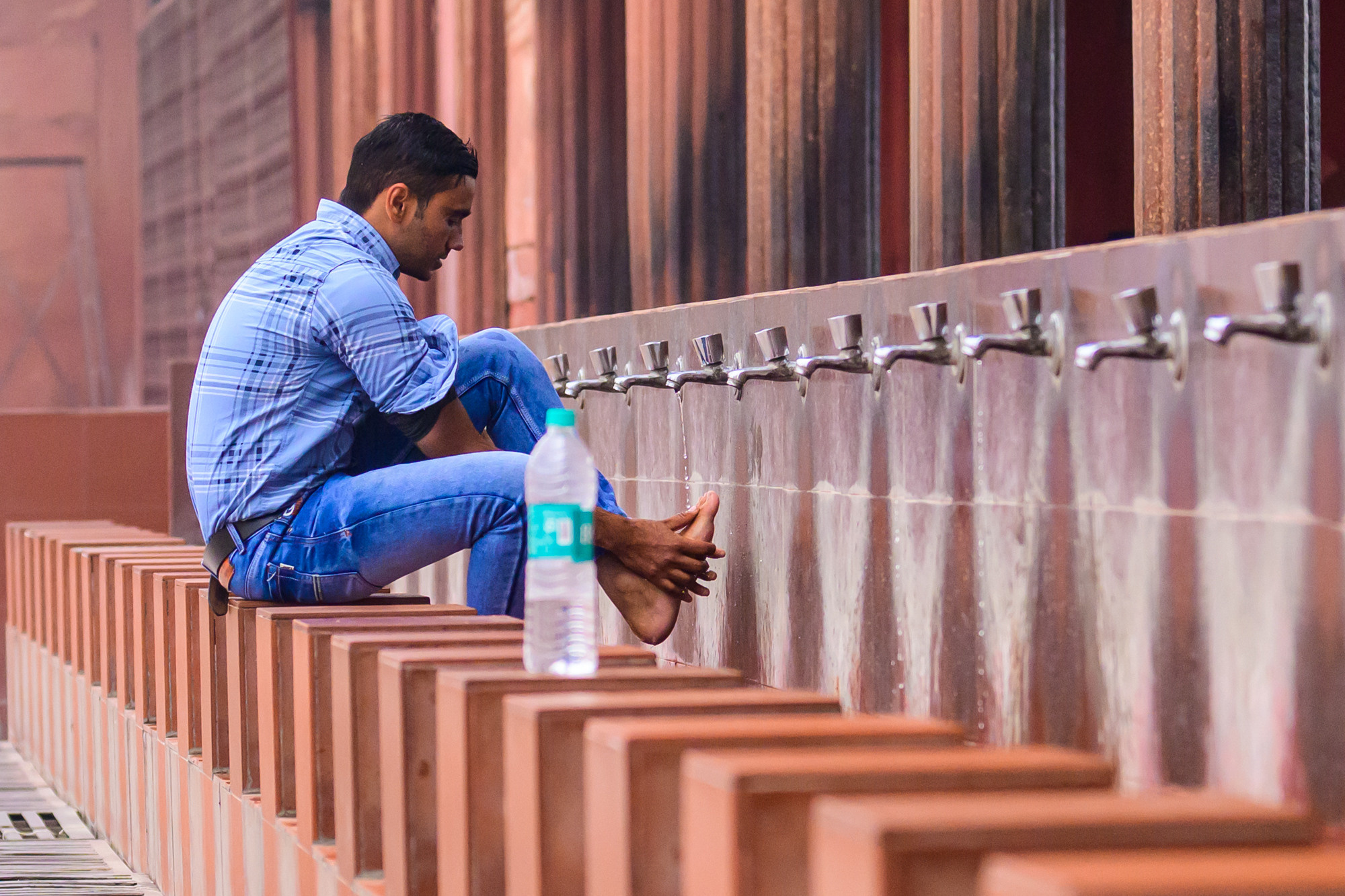 Индия. Wildlife photography by Sergey Puponin