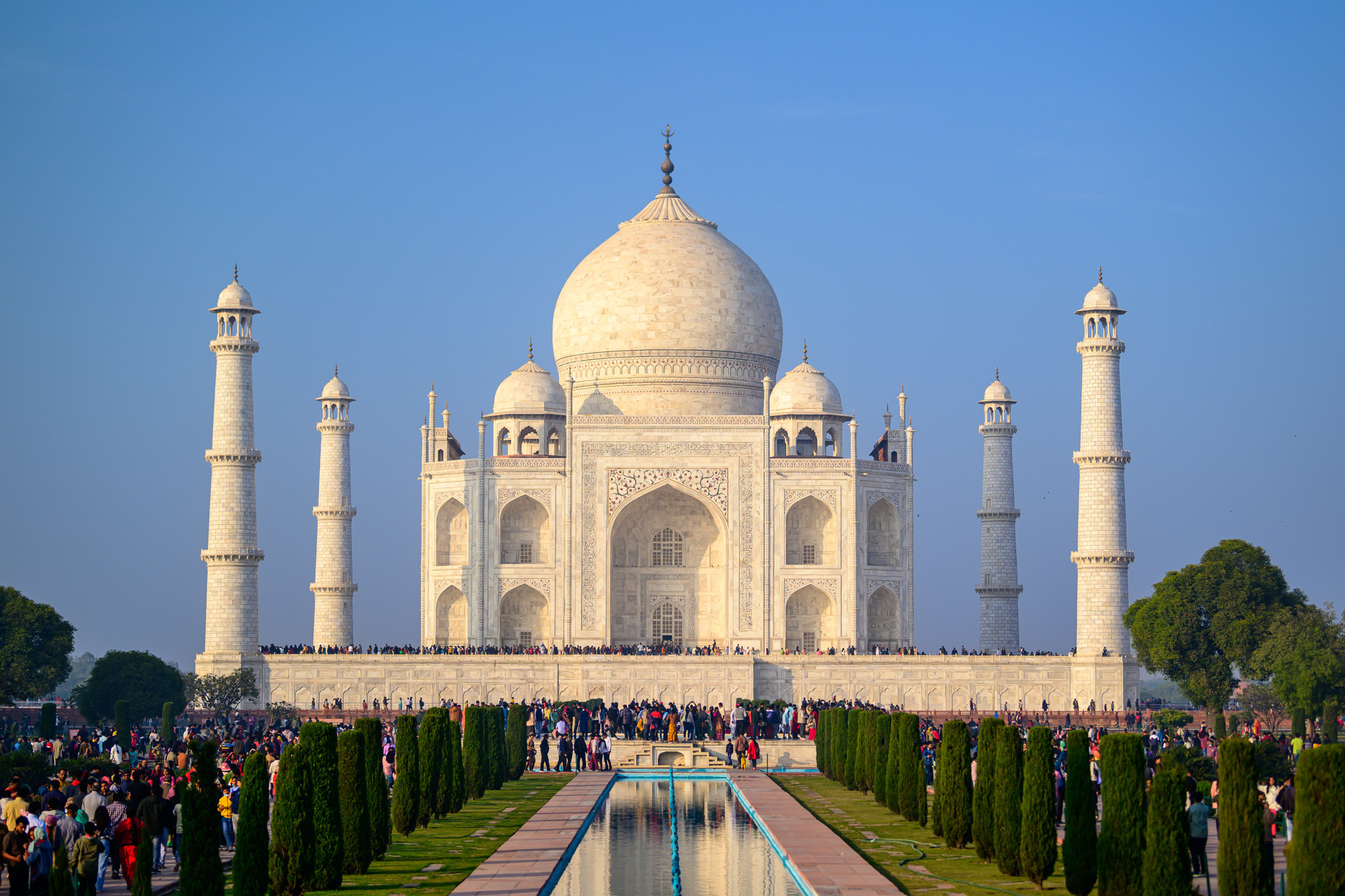 Индия. Wildlife photography by Sergey Puponin