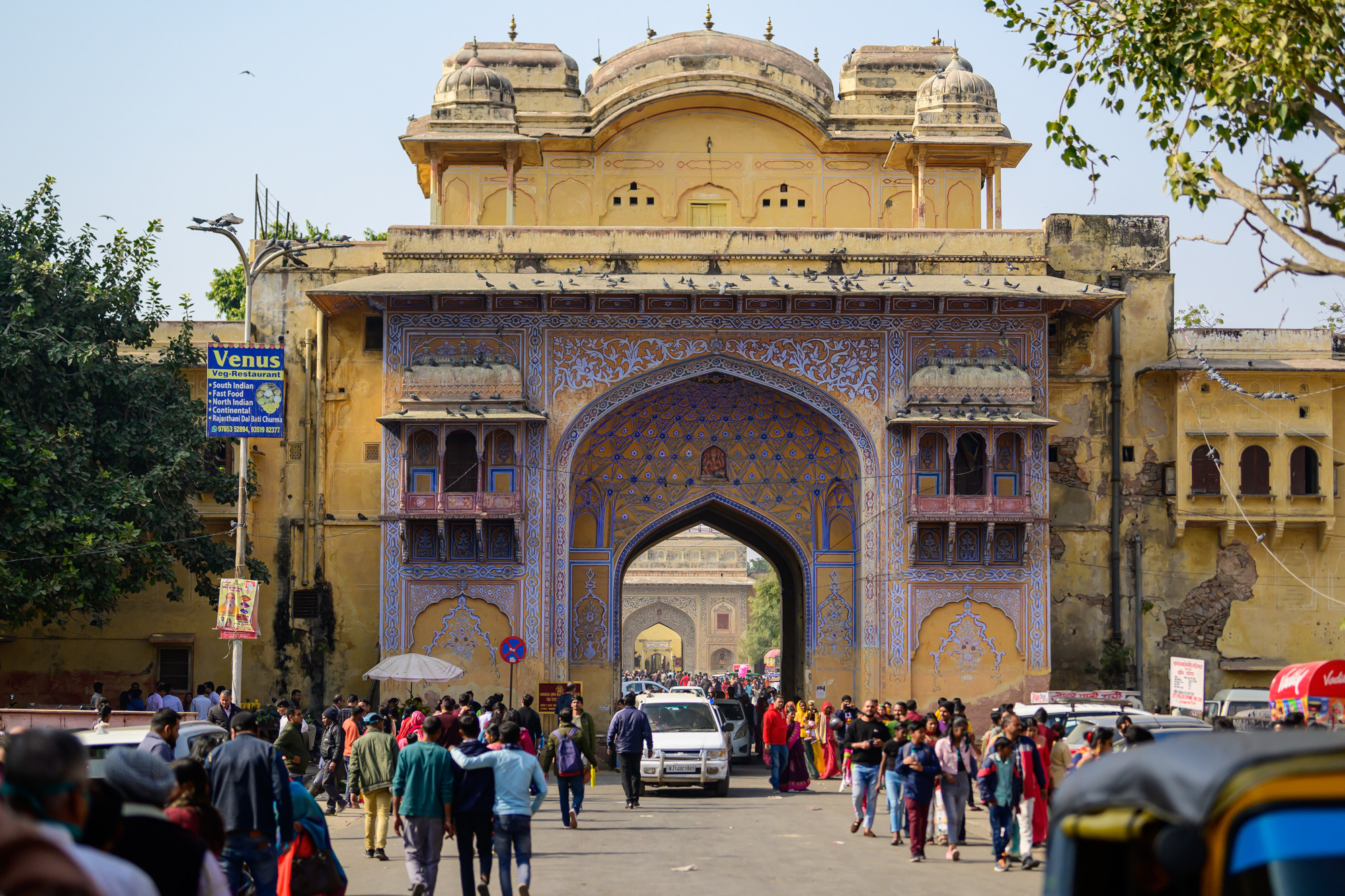 Индия. Wildlife photography by Sergey Puponin