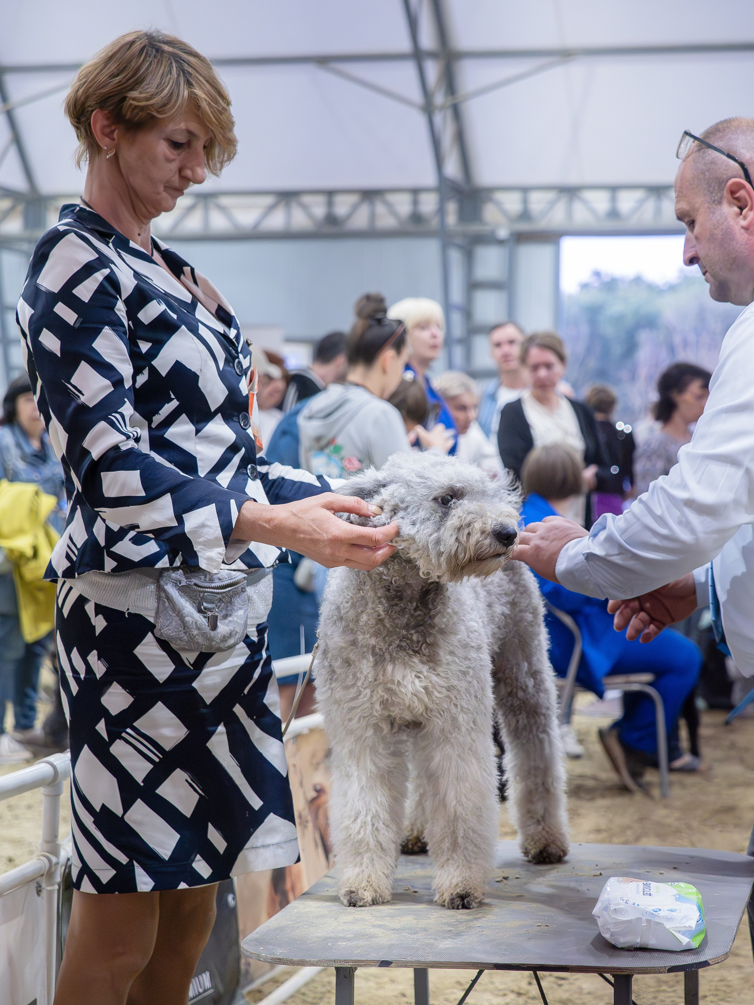 Репортажная съемка выставок. Фотограф анималист Тюгаева Мария