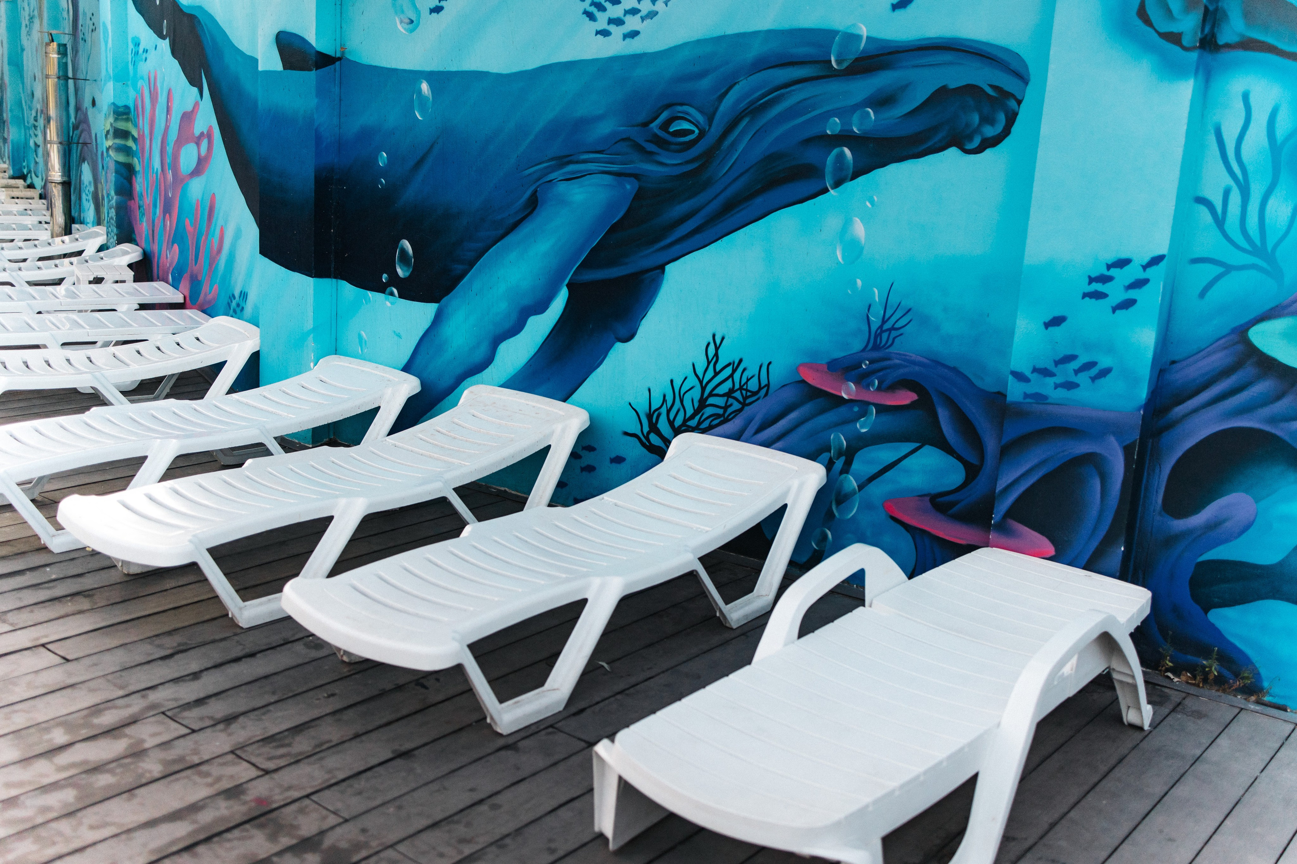 База отдыха Дюны золотые. Photographer and videographer for wedding in Italy: Rome, Milan, Venic