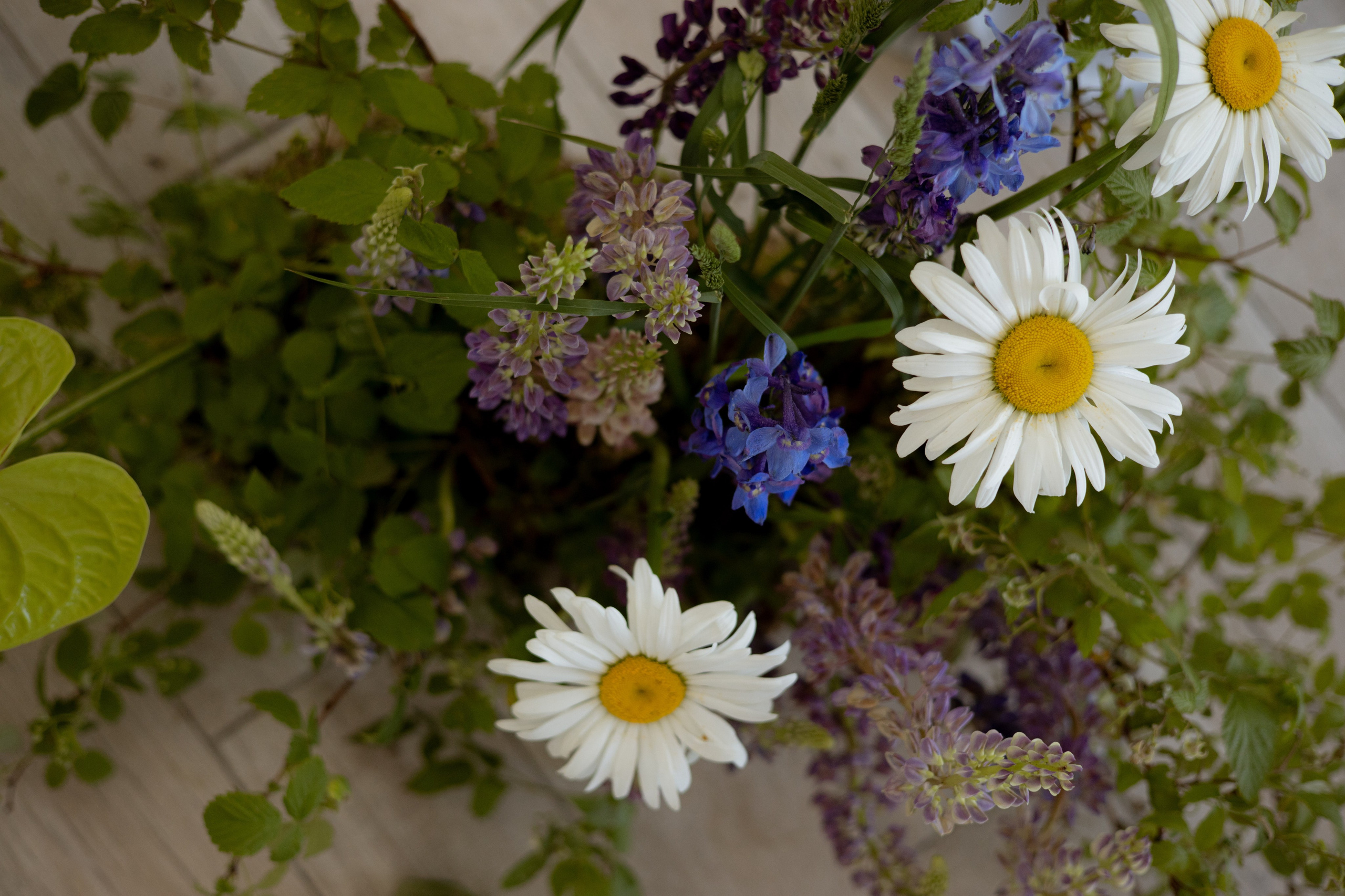 «Московское небо». Оформление свадеб, декор свадеб Вера Маркова, Москва