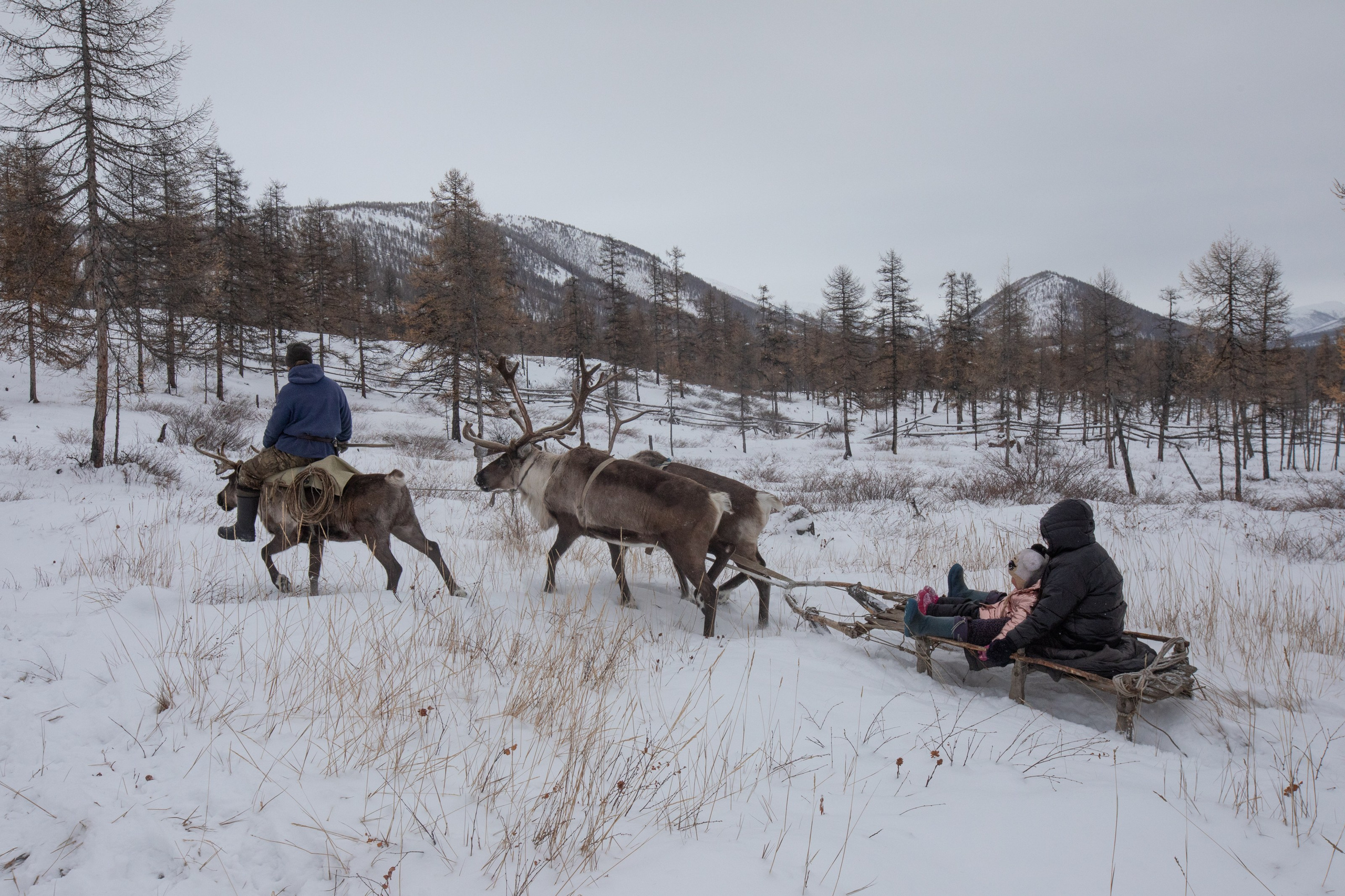 Не забудь накормить озеро. Natalya Madilyan
