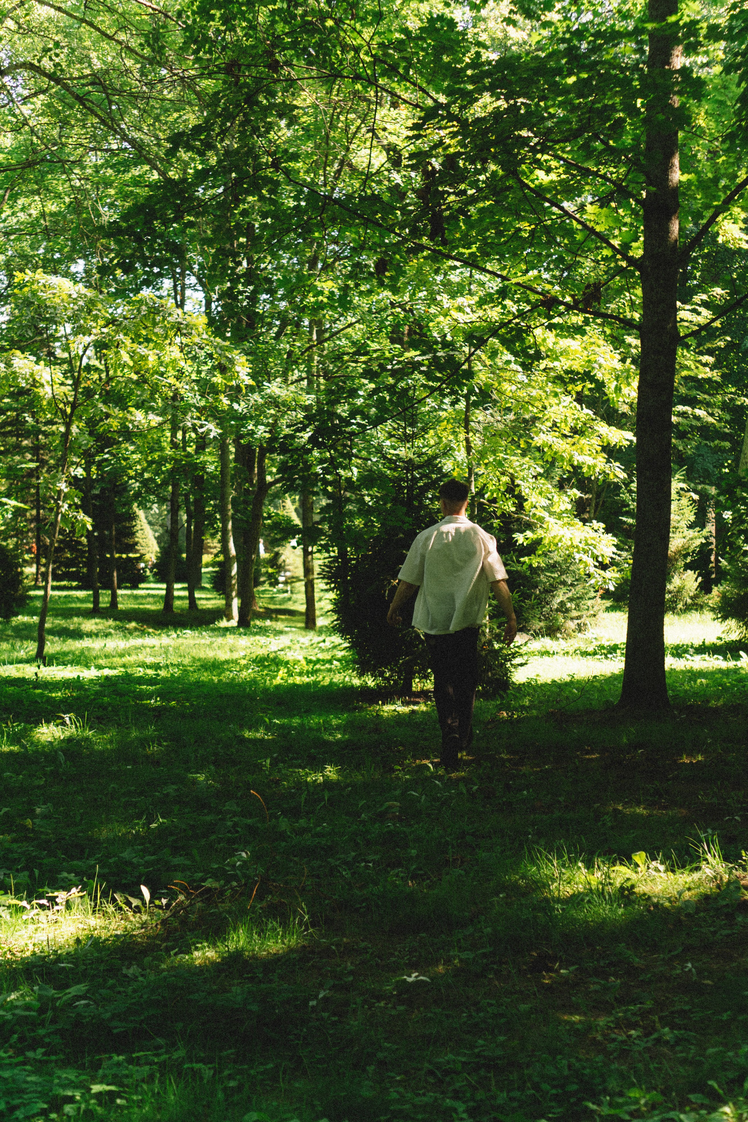 СВАДЕБНАЯ СЬЕМКА В ПЕТЕРГОФЕ И СЬЕМКА РЕПОРТАЖА В ЗАГСЕ ПЕТЕРГОФА. Профессиональный фотограф, Санкт-Петербург — Виктория Богомолова