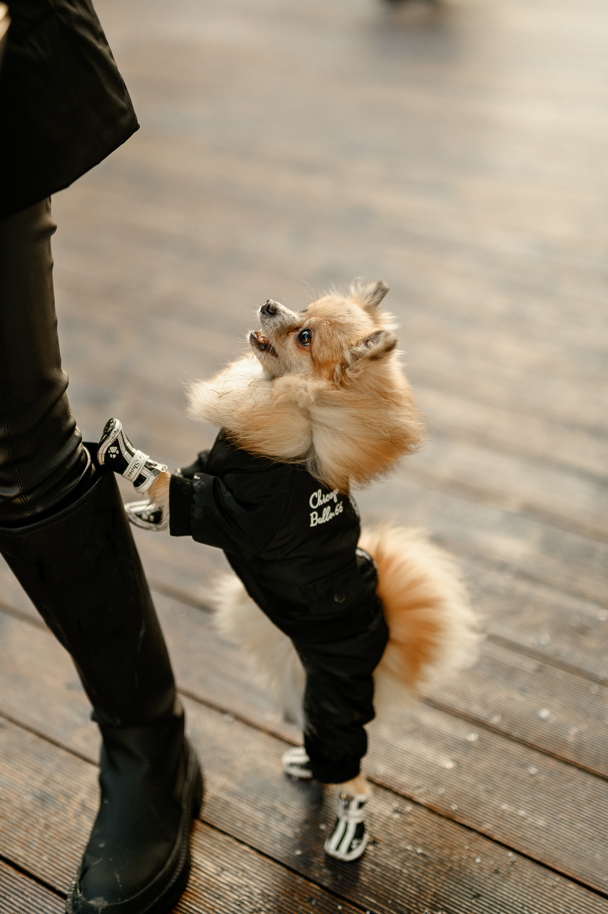 Сюзанна и Габриэлла. Semerlina.ru