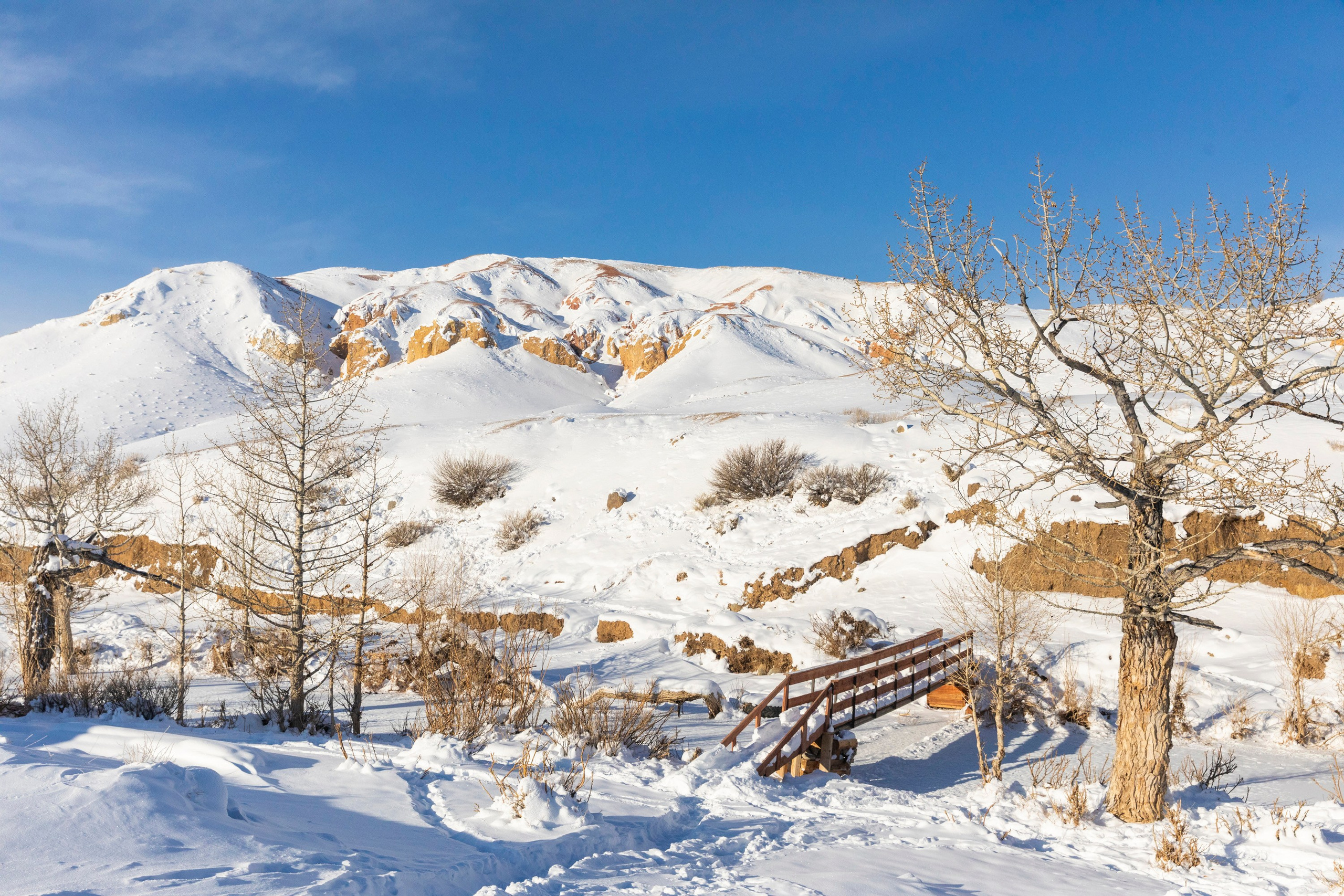 Алтай в декабре. Марина Захарова — Фотограф. Москва / Marina Zakharova — Photographer