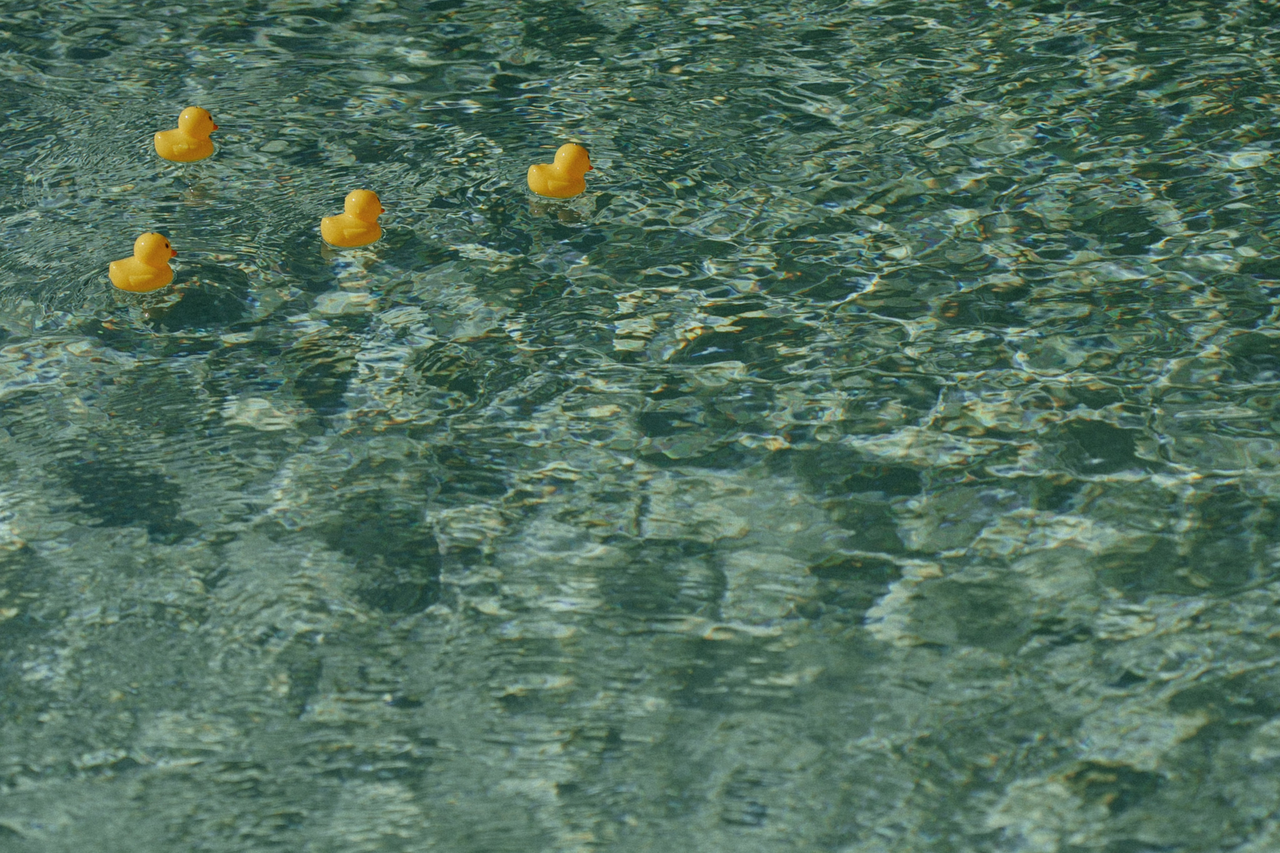 Жёлтый сентябрь. Свадебный фотограф в Краснодаре и Сочи Винидиктова Екатерина