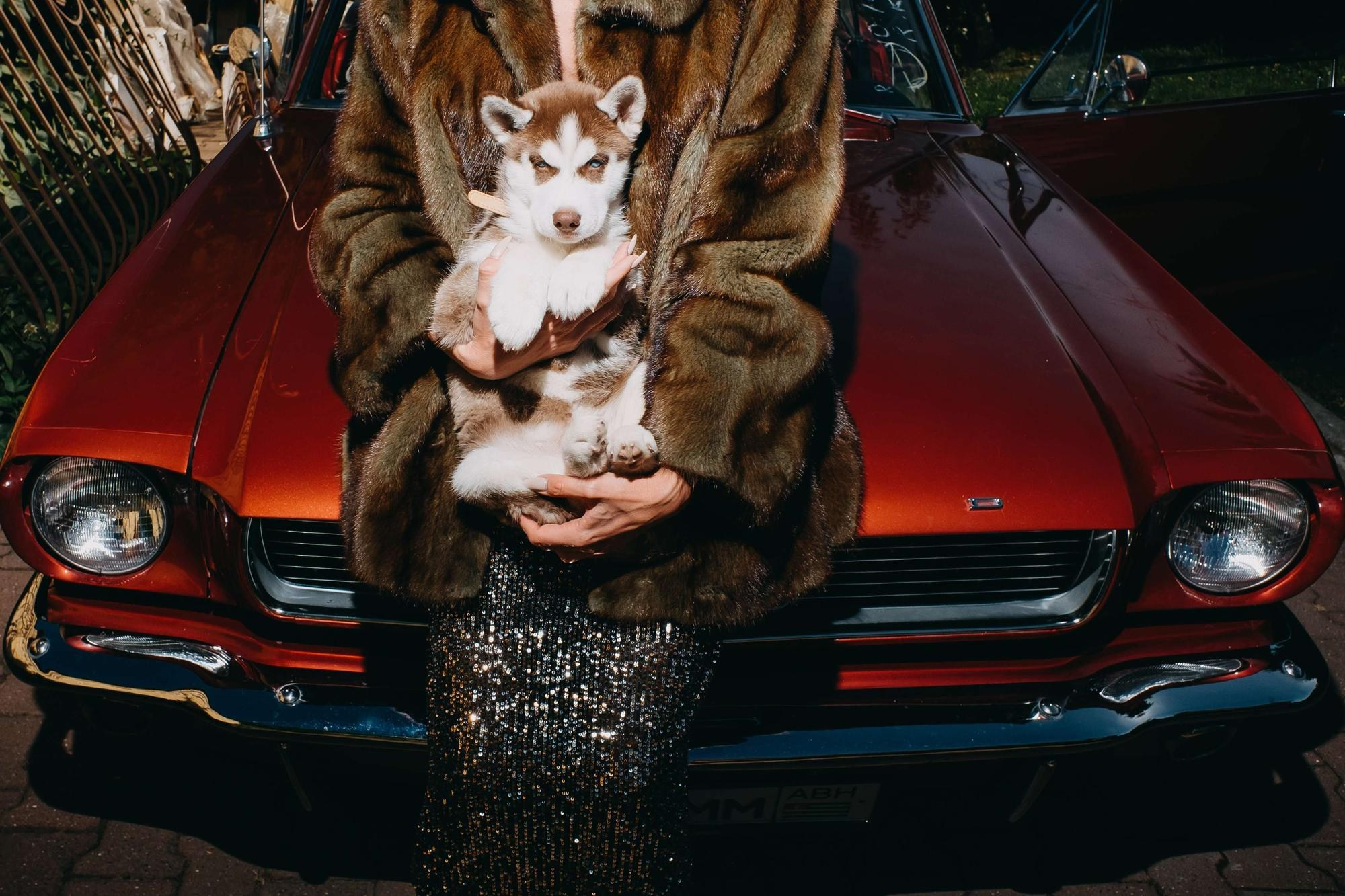 GUCCI & MUSTANG. Свадебный фотограф в Ставрополе Сергей Шляхов