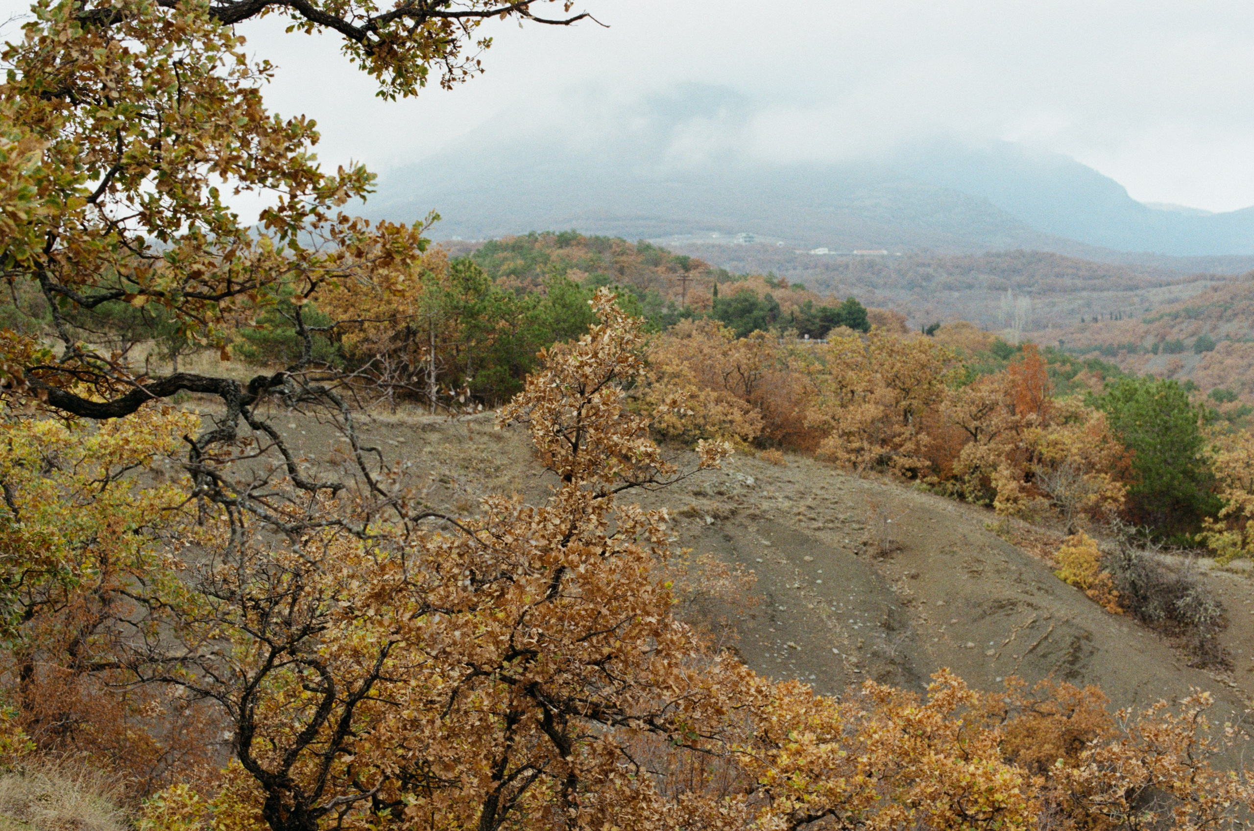 Wherever you will go // ukraine, crimea V. EVER EXPOSED
