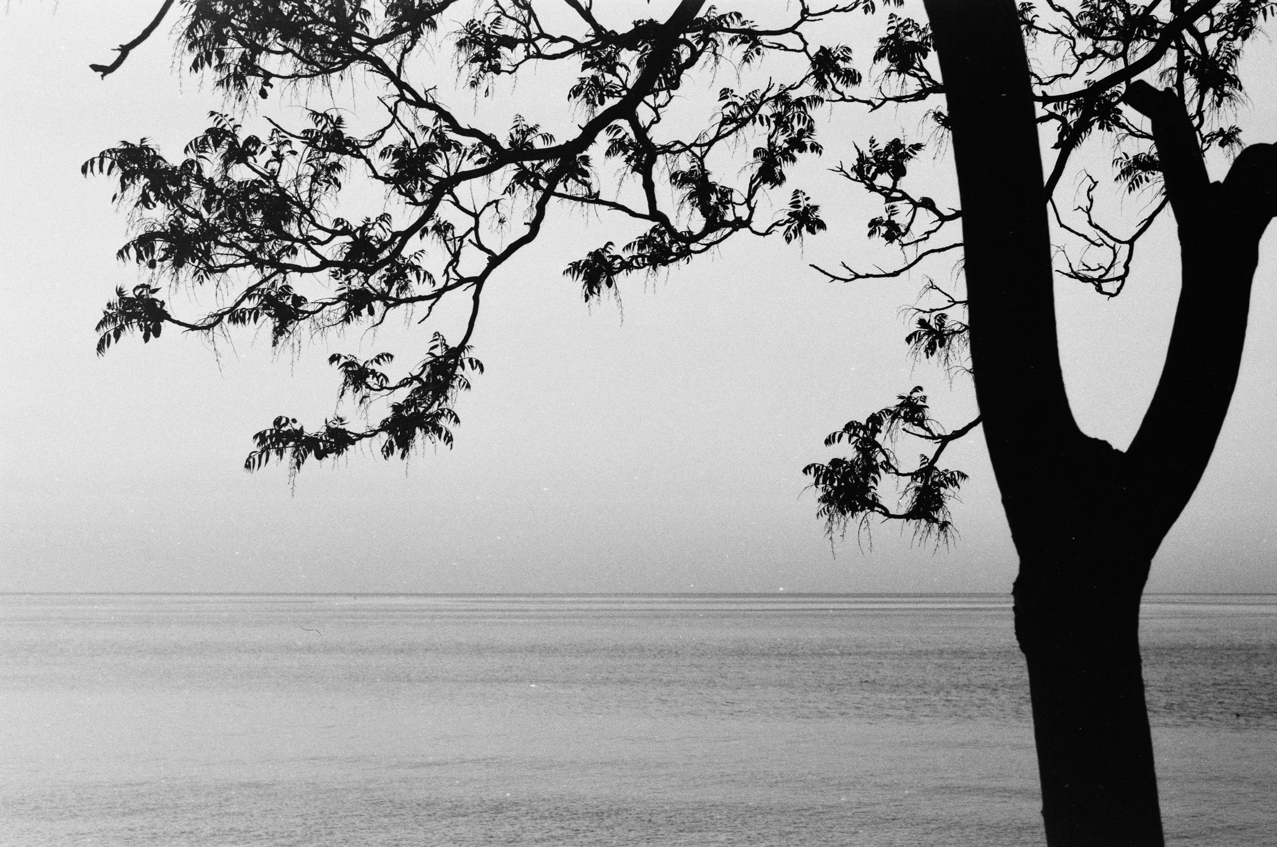 Sparks // ukraine, crimea III. EVER EXPOSED